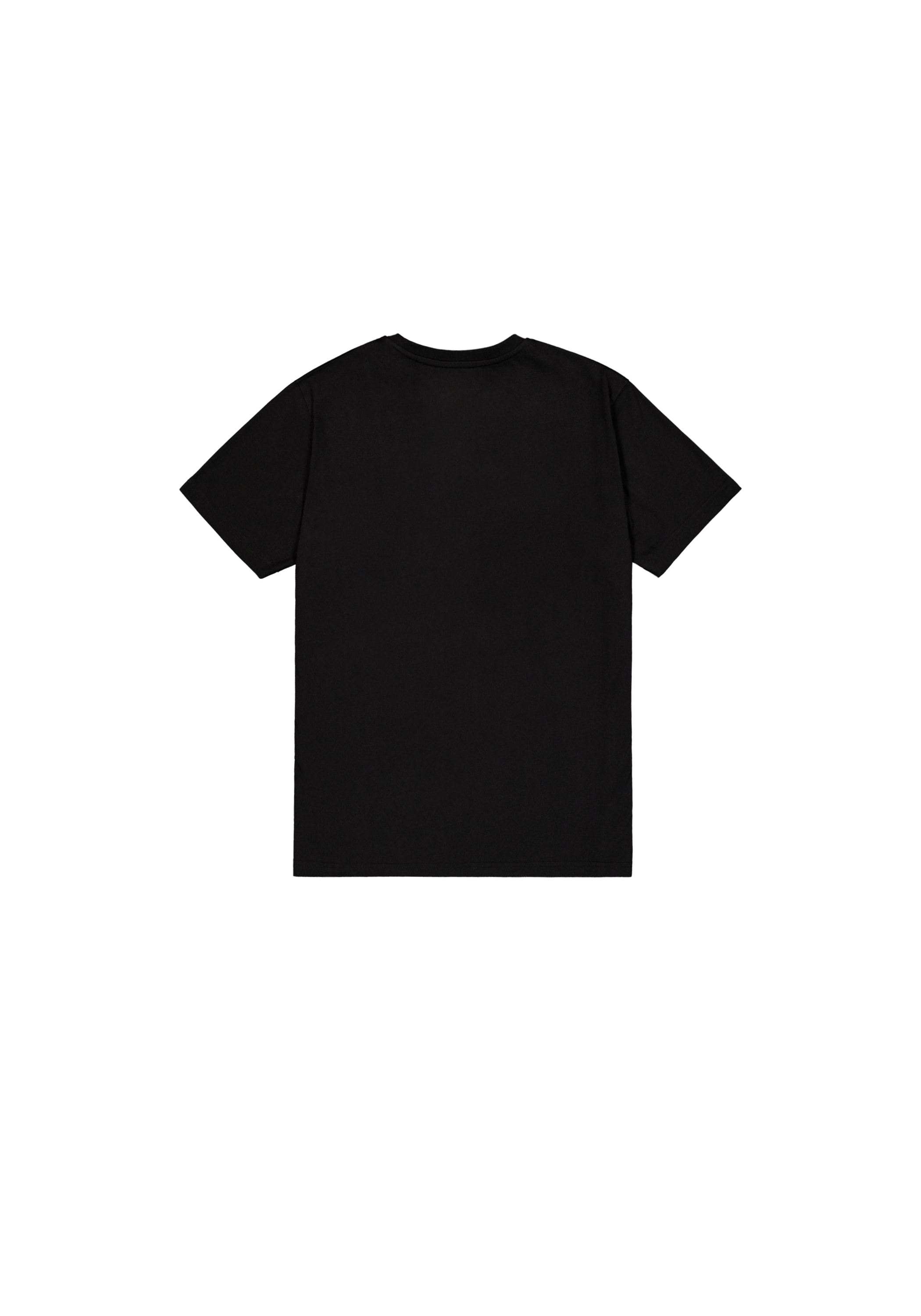 Alpha Industries T-Shirt »Basic T-Shirt BL Effect Print«
