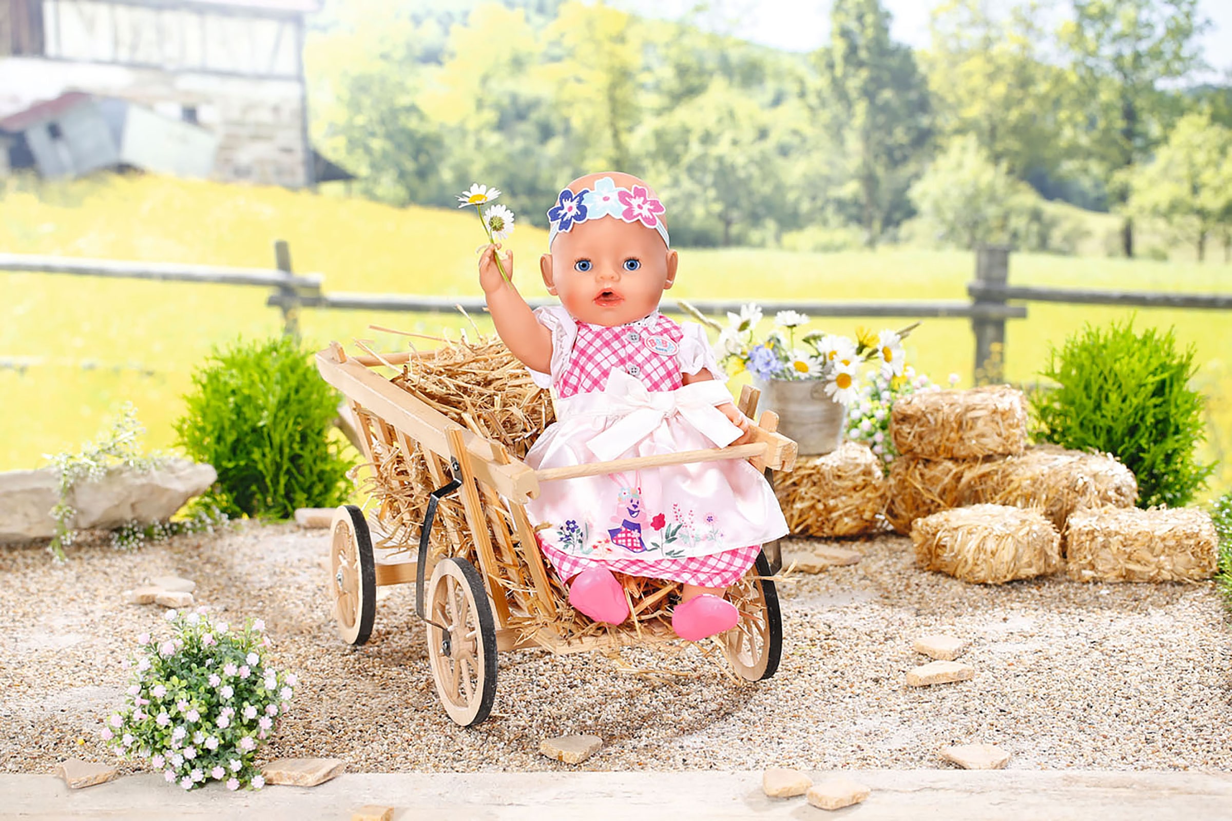 Baby Born Puppenkleidung »Dirndl, 43 cm«, mit Kleiderbügel
