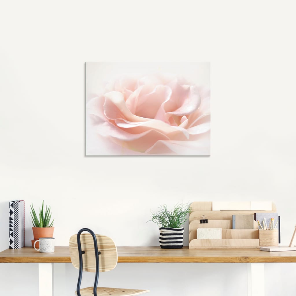 Artland Glasbild »Rose I«, Blumen, (1 St.)
