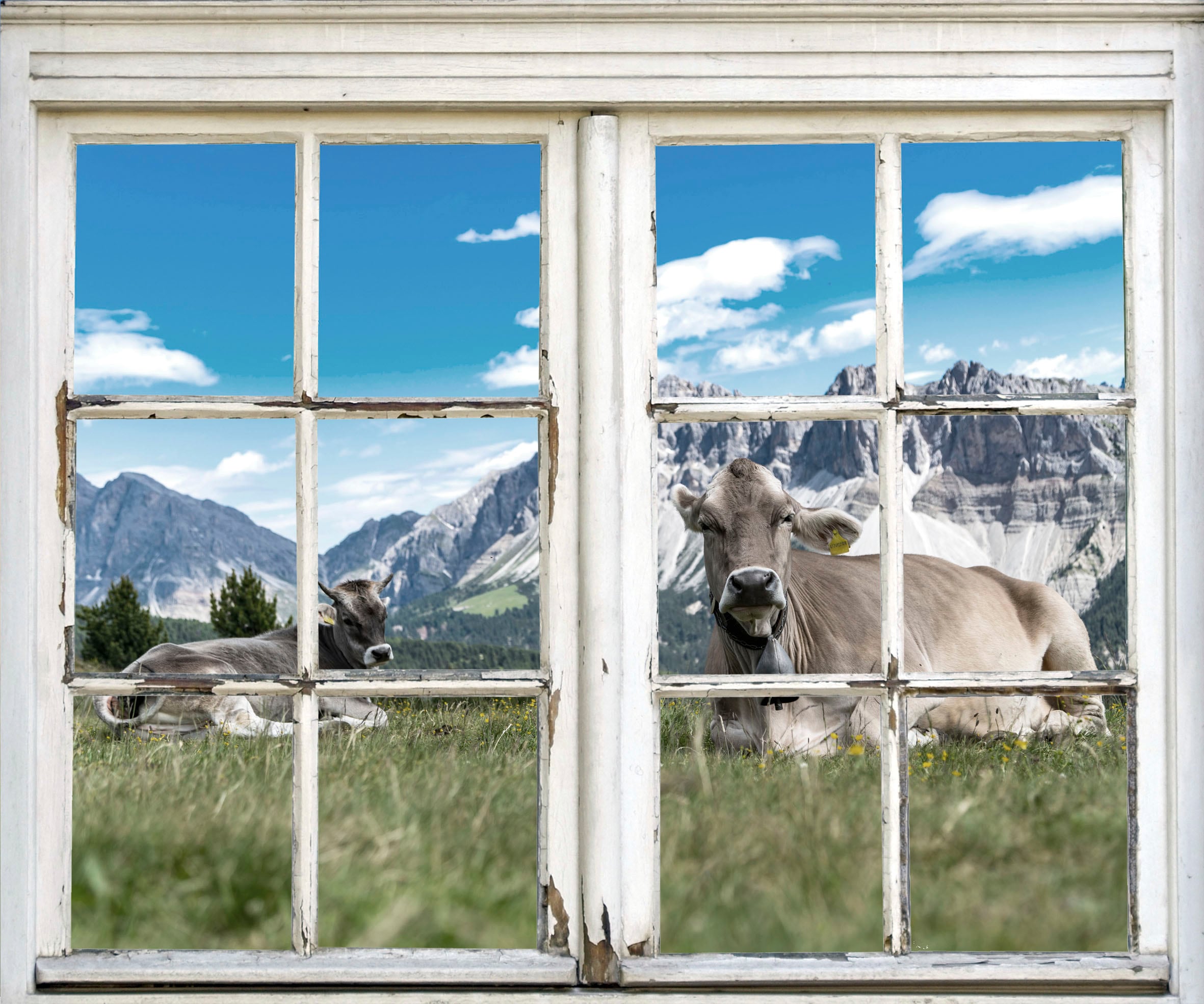 queence Wandsticker »Kühe auf der Alm« Wandsticker, Wandbild, selbstklebend, 3D, Fenster