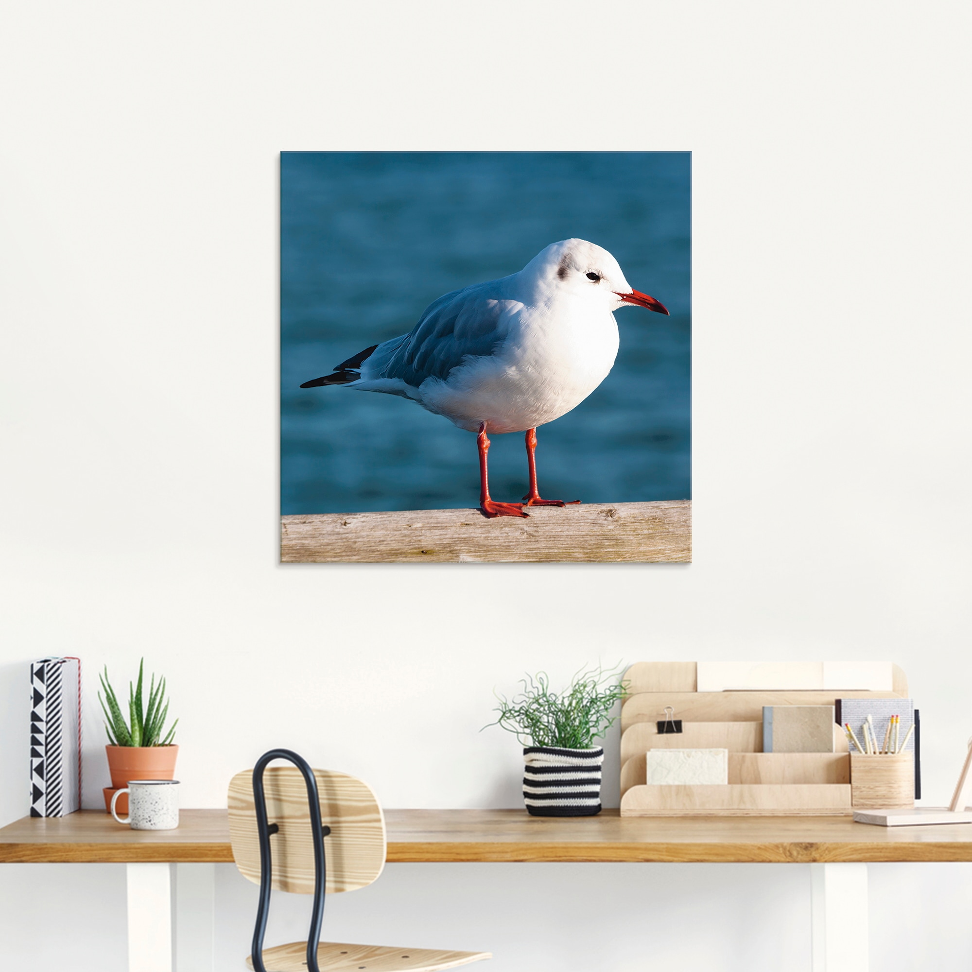 Artland Glasbild »Möwe«, Vögel, (1 St.), in verschiedenen Größen