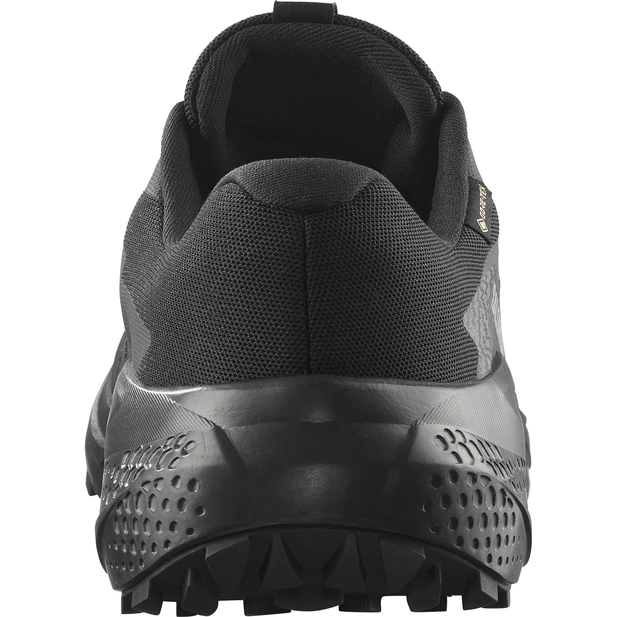 Salomon Trailrunningschuh »ALPHAGLIDE GTX«, wasserdicht