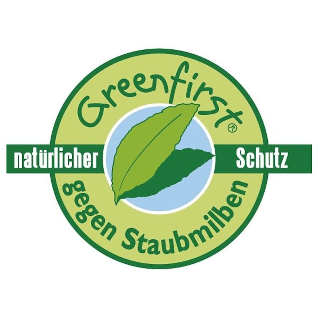 f.a.n. Schlafkomfort Microfaserbettdecke + Kunstfaserkissen »Greenfirst«, (Spar-Set)