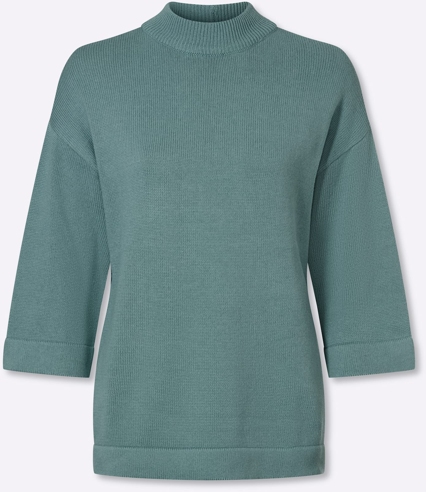 Inspirationen Stehkragenpullover »Pullover«