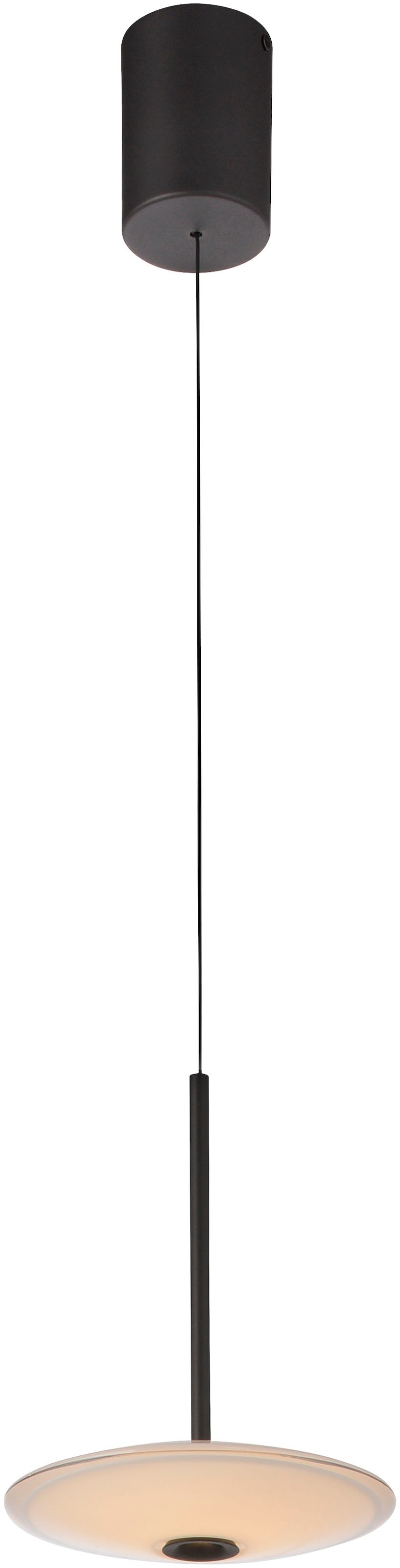 Paul Neuhaus LED Pendelleuchte »ELIPSA« LED-Board 1 Stk. Warmweiß Dimmfähig über separaten Tronicdimmer, Comfort-Lift