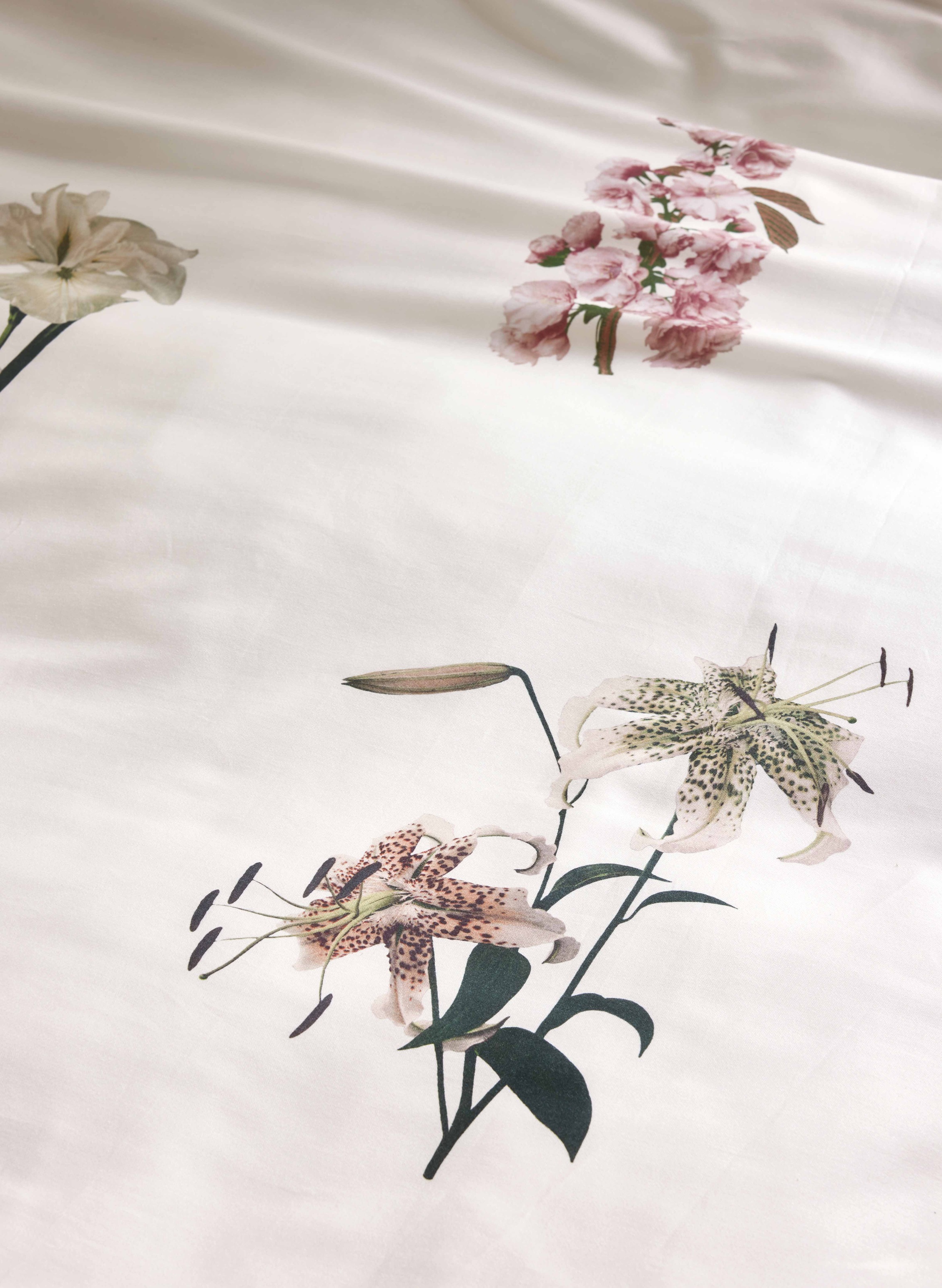 Essenza Wendebettwäsche »Annebella, 100 % Bio-Baumwollsatin« 2 Stk. tlg.