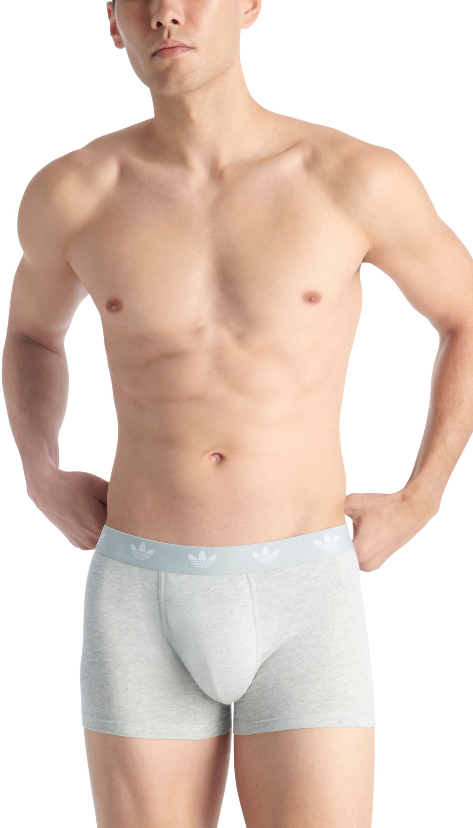 adidas Originals Trunk »Comfort Flex Cotton«, (2er Pack), mit elastischem Logobund für Komfort
