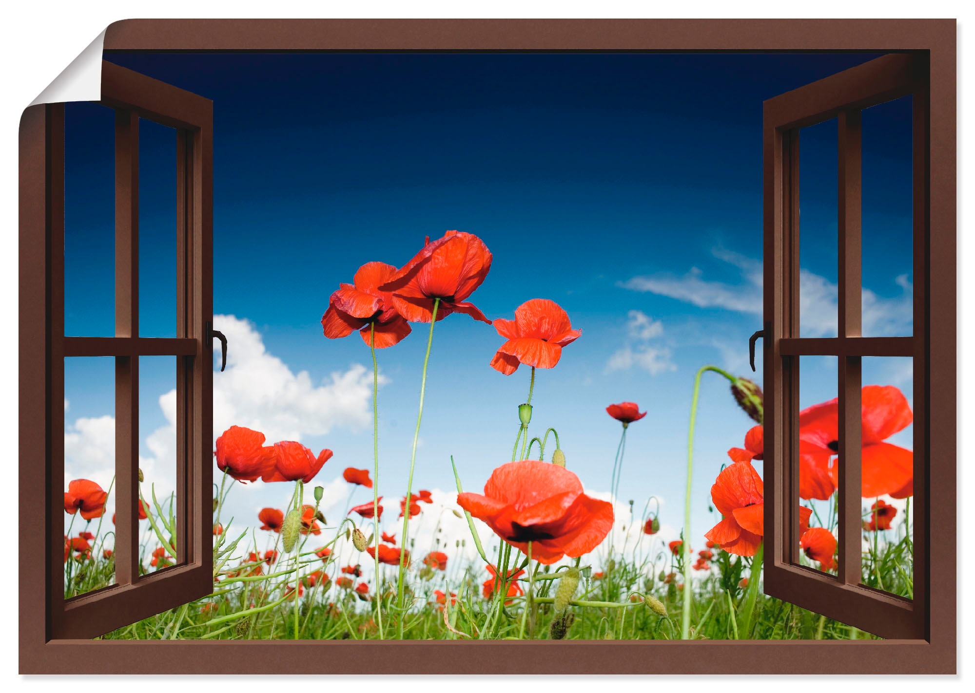 Artland Wandbild »Fensterblick Feld mit Mohnblumen«, Fensterblick, (1 St.), in vielen Größen & Produktarten -Leinwandbild, Poster, Wandaufkleber / Wandtattoo auch für Badezimmer geeignet