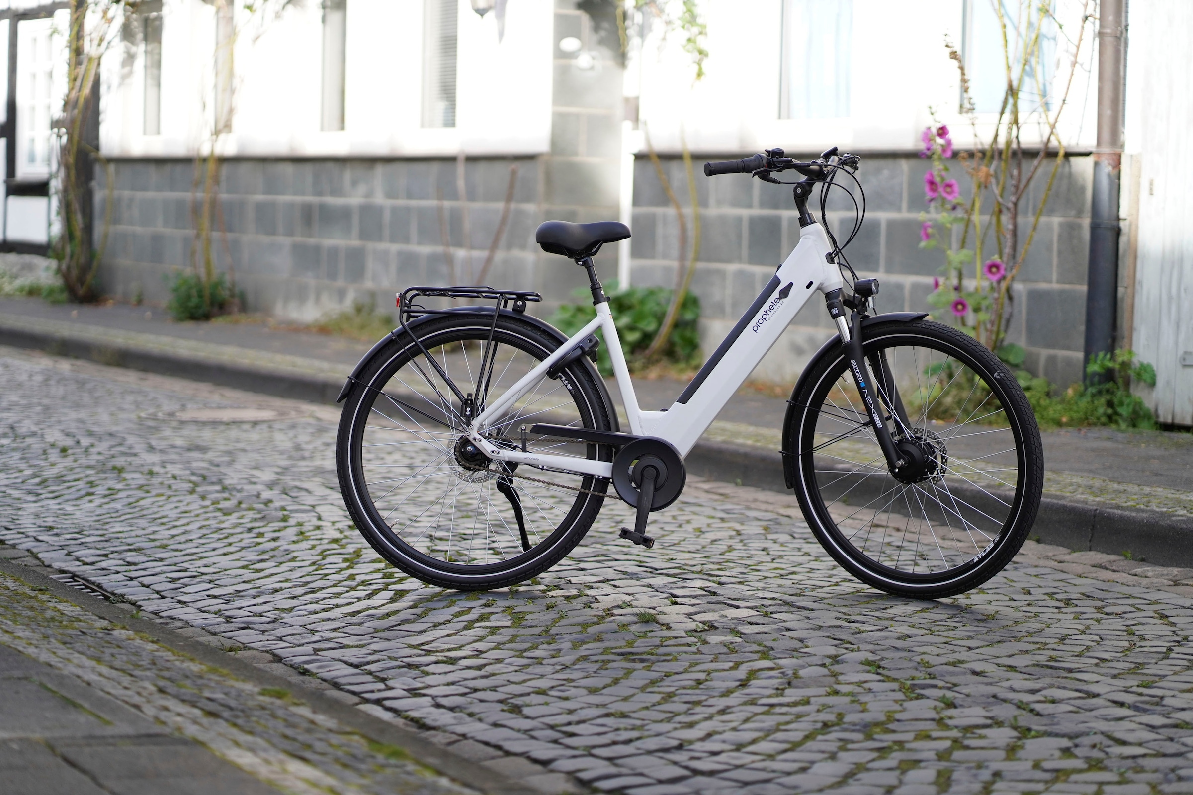 Prophete E-Bike »Geniesser 2.0«, 7 Gang, Shimano, Nexus, Frontmotor 250 W, (mit integr. Rahmenschloss), Pedelec, Elektrofahrrad für Damen u. Herren, Cityrad