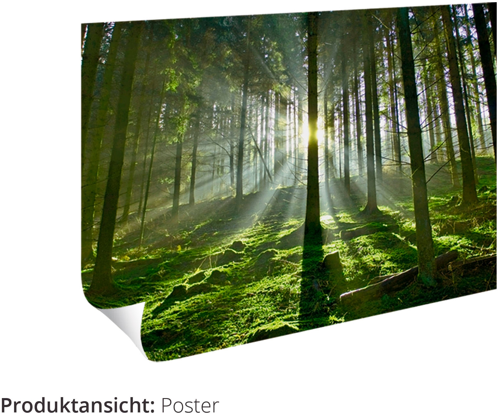 Artland Wandbild »Die Barke«, Paar, (1 St.), als Leinwandbild, Wandaufkleber oder Poster in versch. Größen