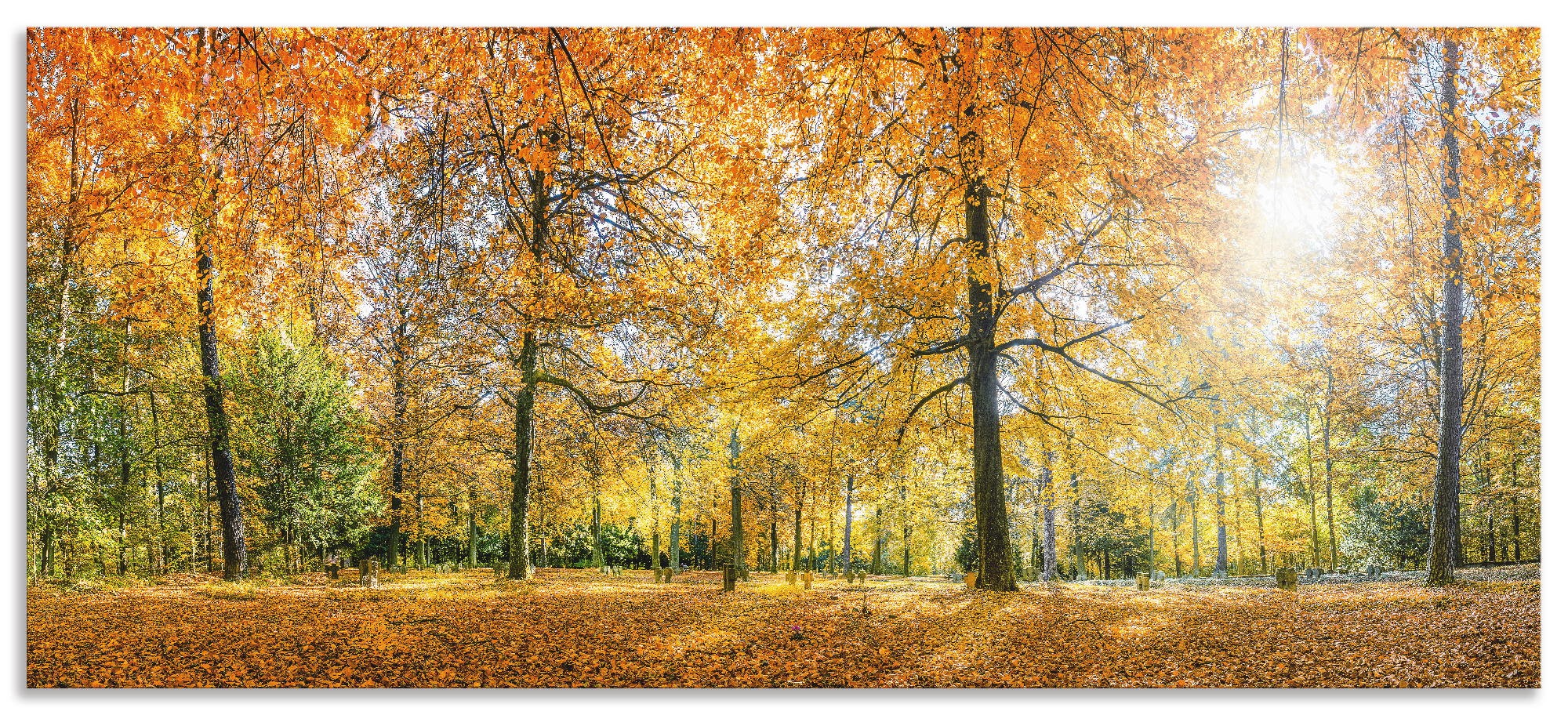 Artland Küchenrückwand »Herbstwald Panorama«