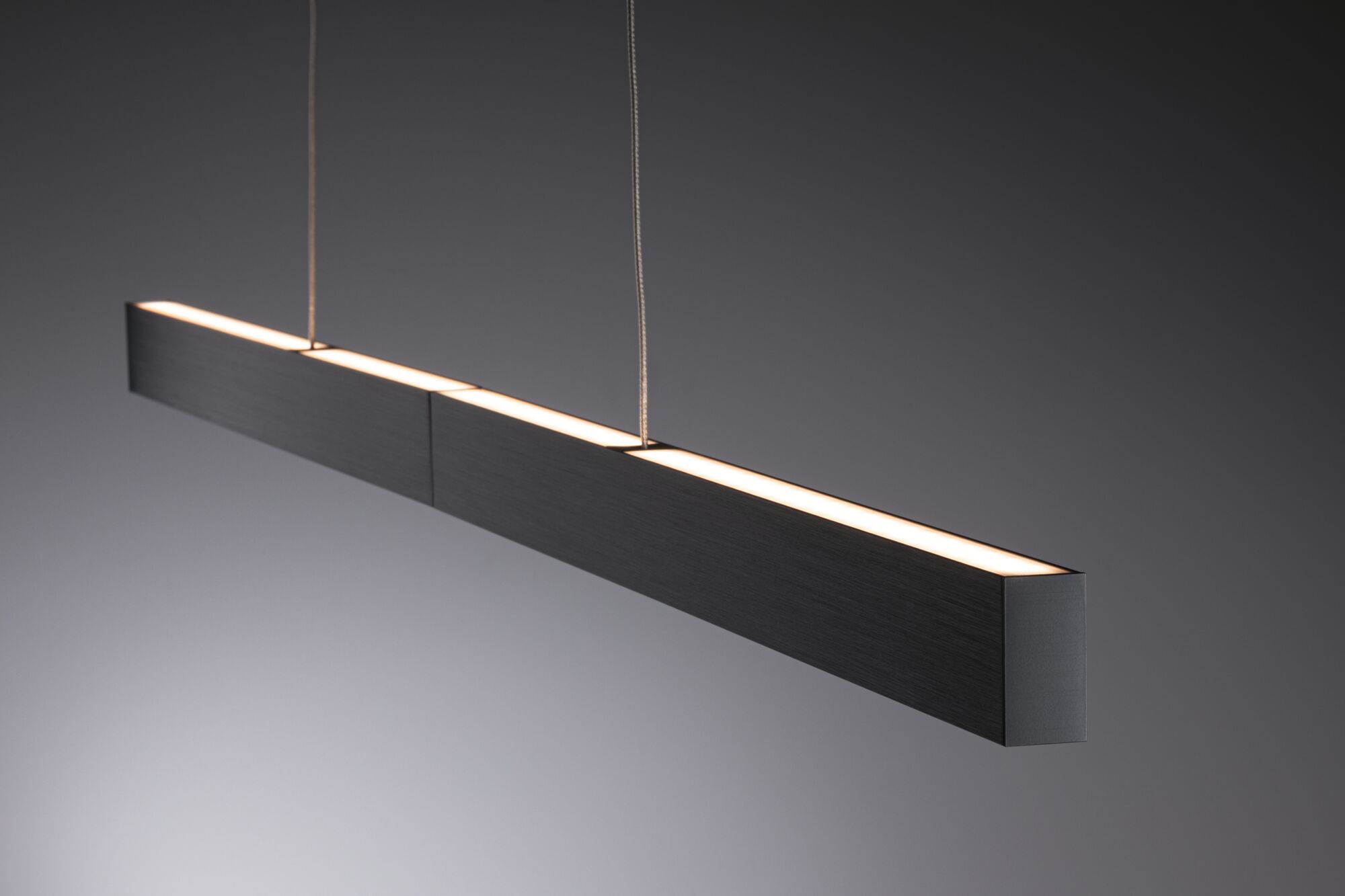 Paulmann LED Pendelleuchte »Aptare«
