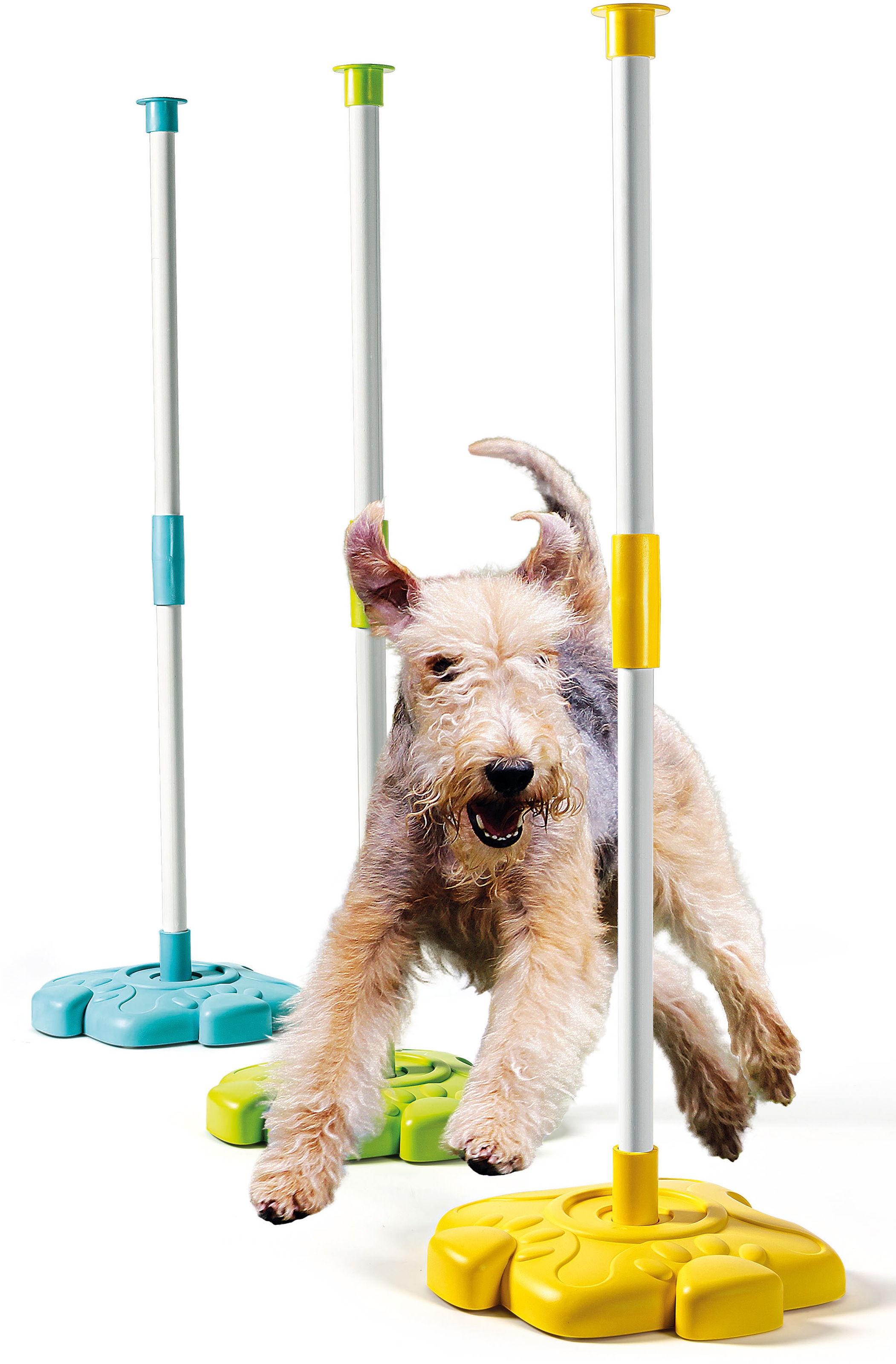 Clementoni® Experimentierkasten »Galileo, Dein Haustier Aktivitäts-Set«, Made in Europe