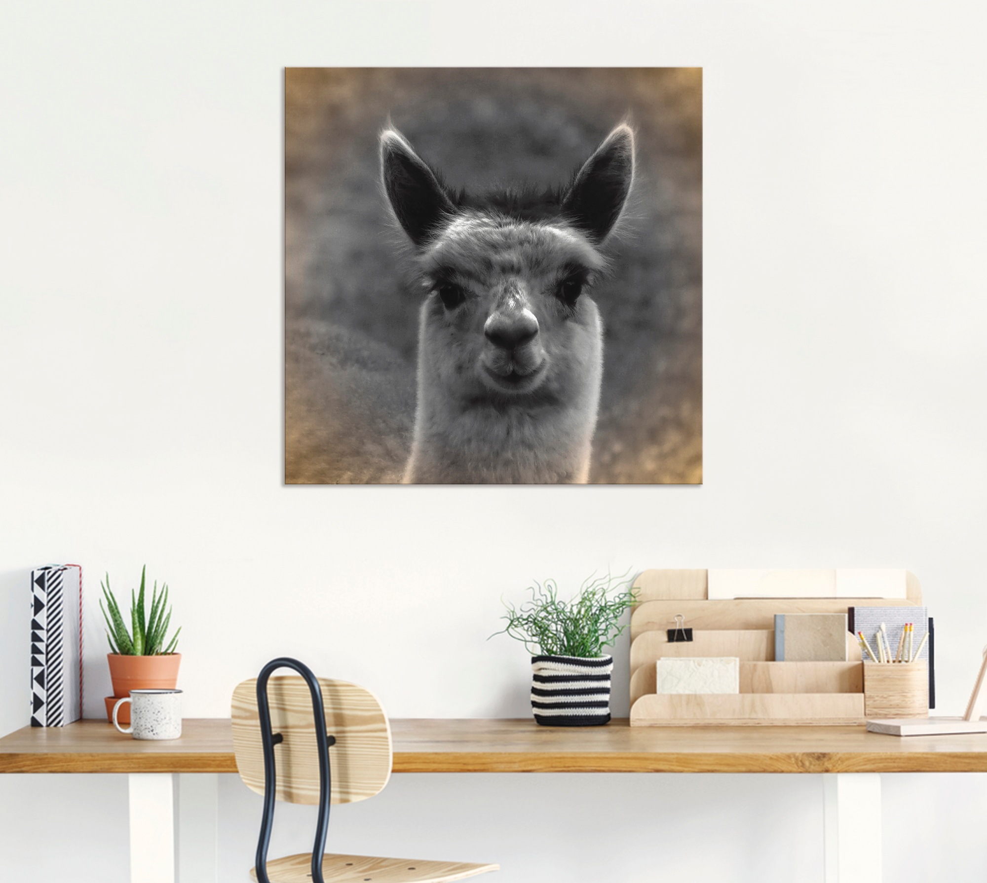Artland Wandbild »Alpaka Blick«, Wildtiere, (1 St.), als Alubild, Outdoorbild, Leinwandbild, Poster in verschied. Größen