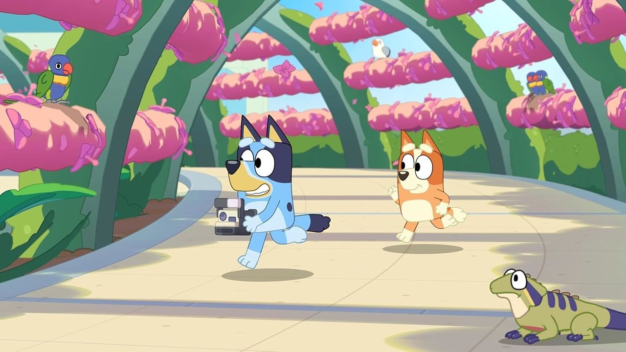 BANDAI NAMCO Spielesoftware »Bluey's Happy Snaps: Deluxe Edition« Nintendo Switch