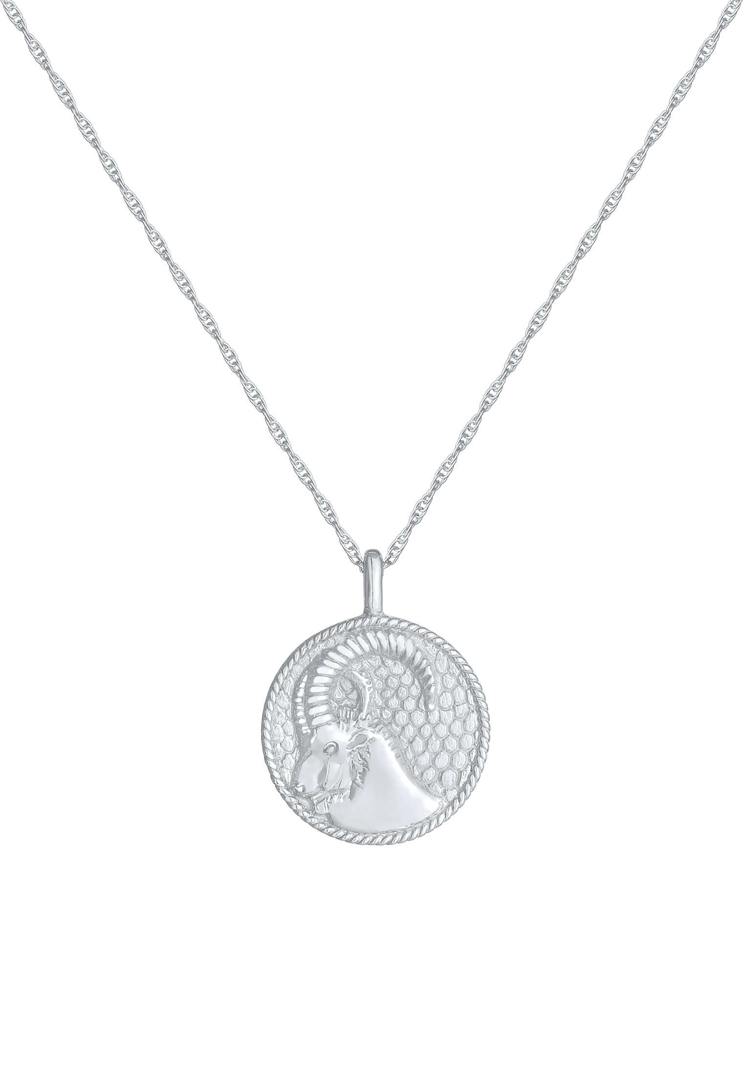 Elli Kette mit Anhänger »Halskette Sternzeichen Steinbock Astro Münze 925 Silber«
