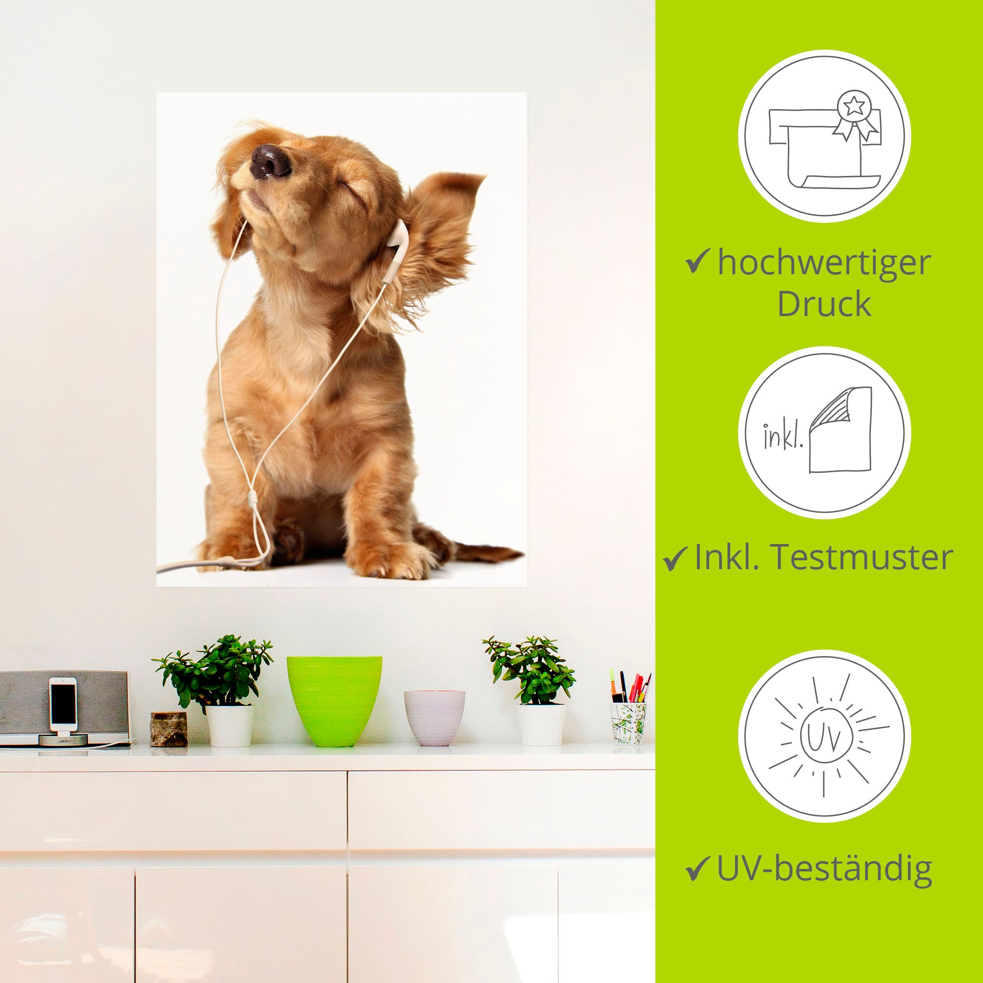 Artland Wandbild »Junger Hund hört Musik über Kopfhörer«, Haustiere, (1 St.), als Leinwandbild, Poster, Wandaufkleber in verschied. Größen