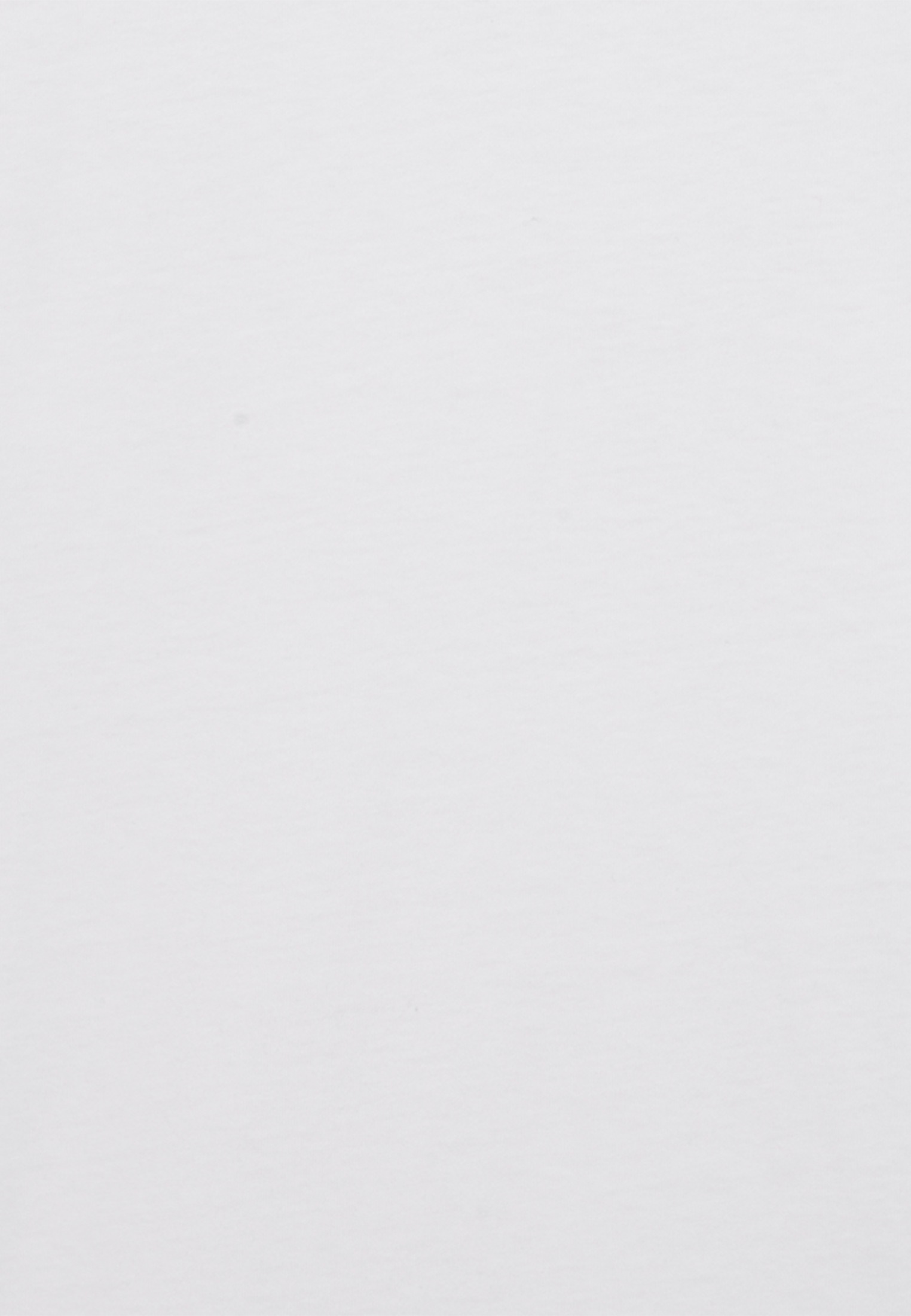 seidensticker T-Shirt, Rundhals