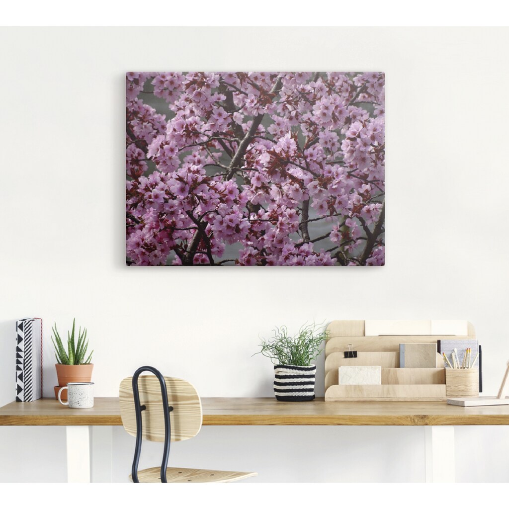 Artland Wandbild »Japanische Zierkirschen Blüte«, Bäume, (1 St.)