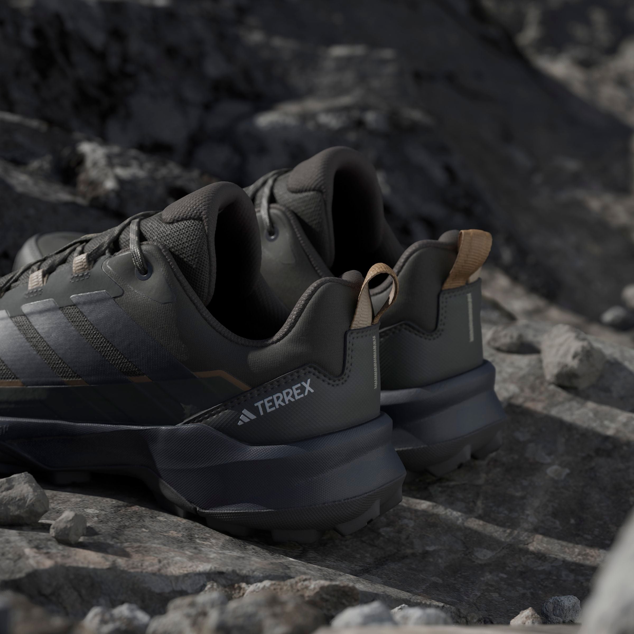 adidas TERREX Wanderschuh »TERREX SKYCHASER AX5 E«
