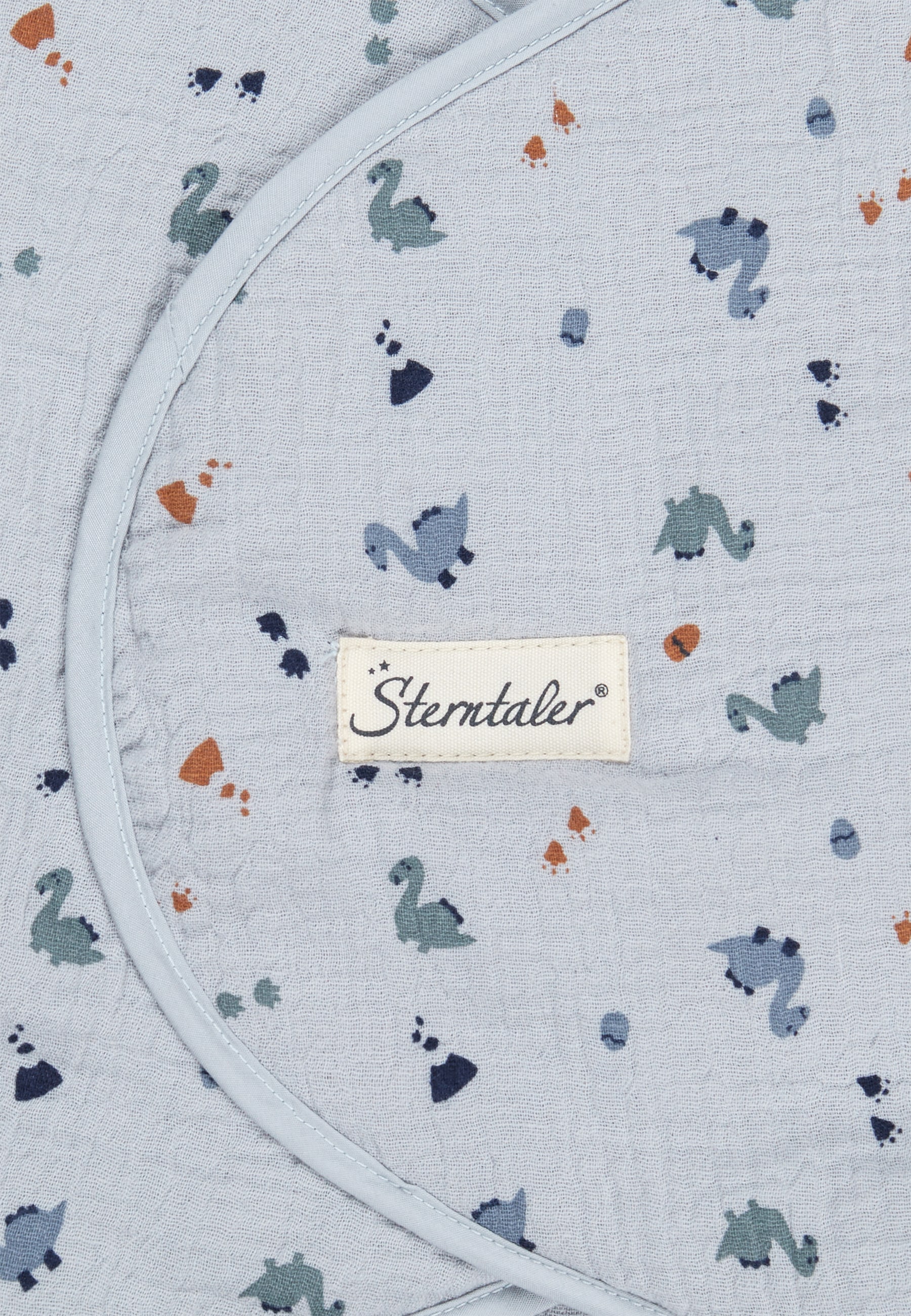 Sterntaler® »Einschlagdecke DINO Rexi«