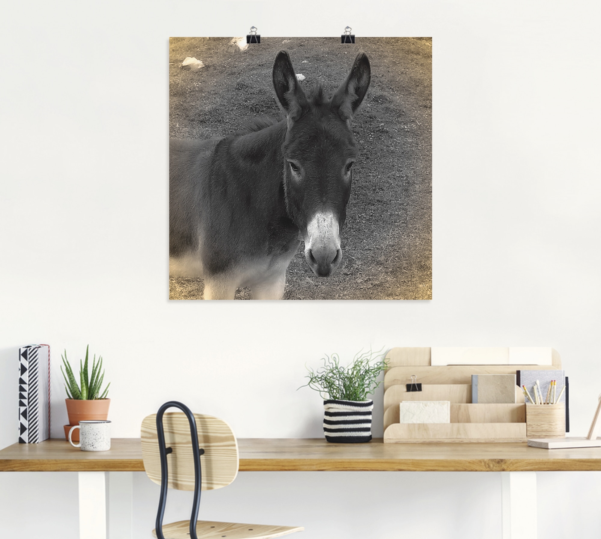 Artland Wandbild »Esel Kontakt«, Haustiere, (1 St.), als Leinwandbild, Poster in verschied. Größen