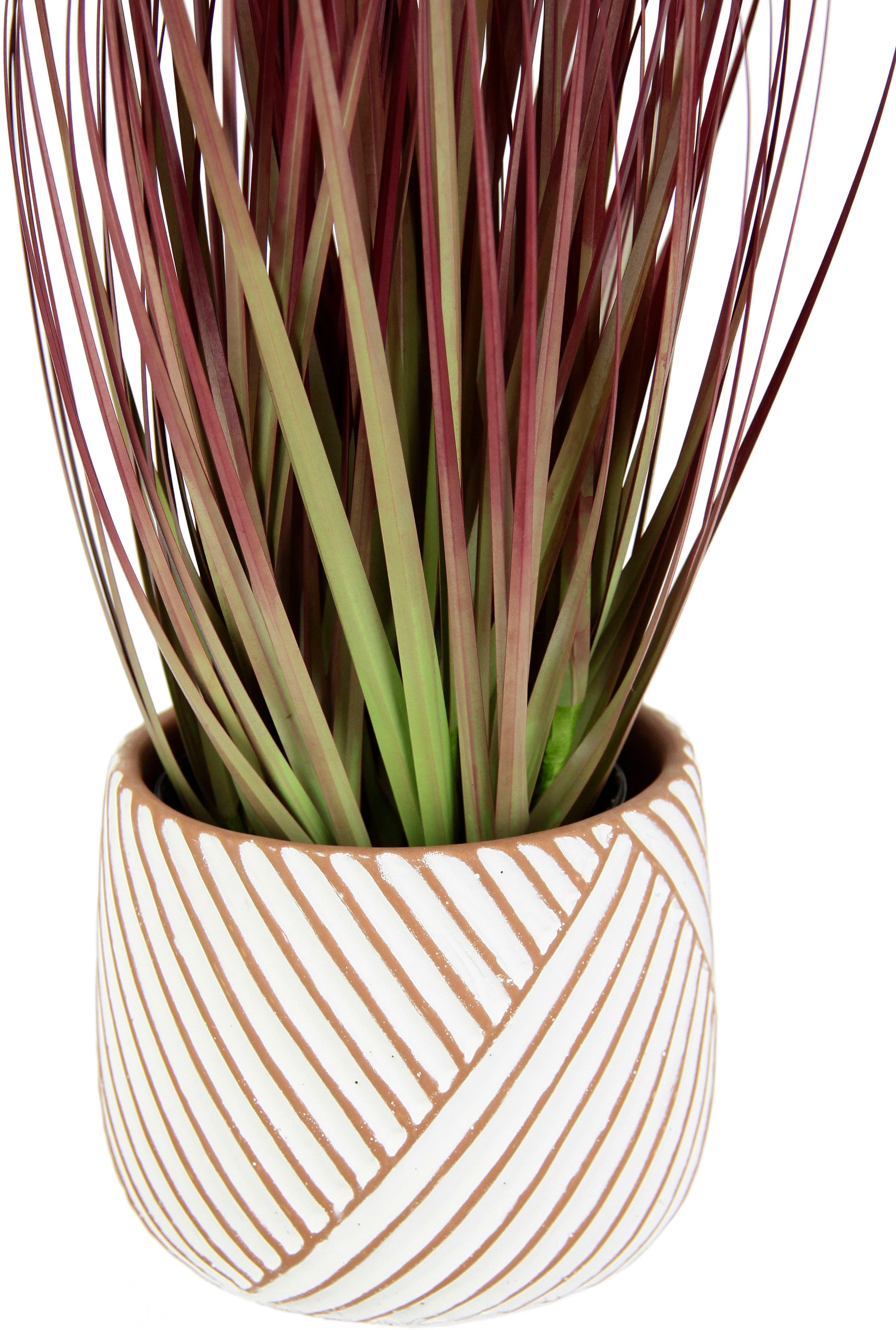 I.GE.A. Kunstpflanze »Fuchsschwanzgras« Mit Übertopf Kunstgras Deko Borstenhirse Panicoideae Setaria