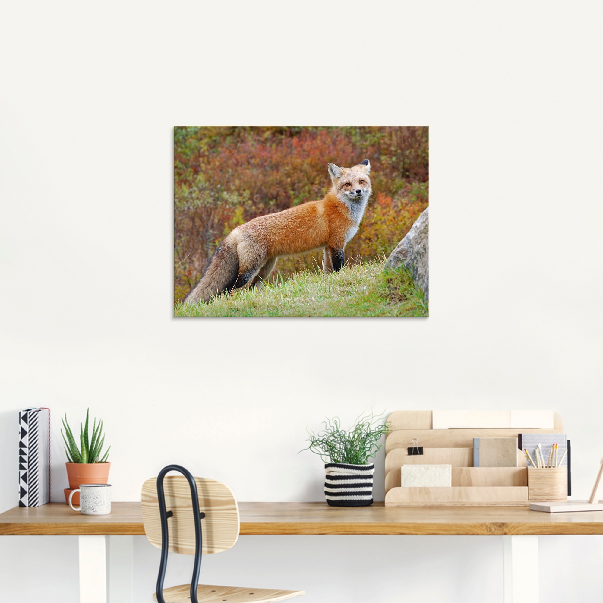 Artland Glasbild »Fuchs I«, Wildtiere, (1 St.), in verschiedenen Größen
