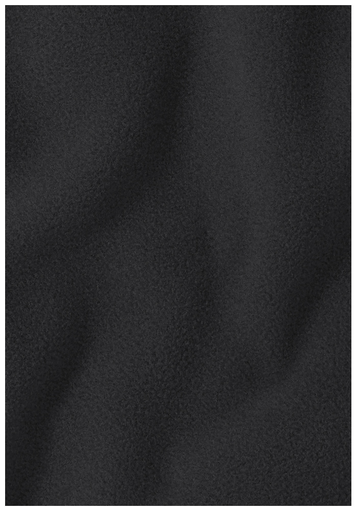 Jack Wolfskin Fleecejacke »TAUNUS 100 FZ M« Winddicht, atmungsaktiv, Übergangsjacke