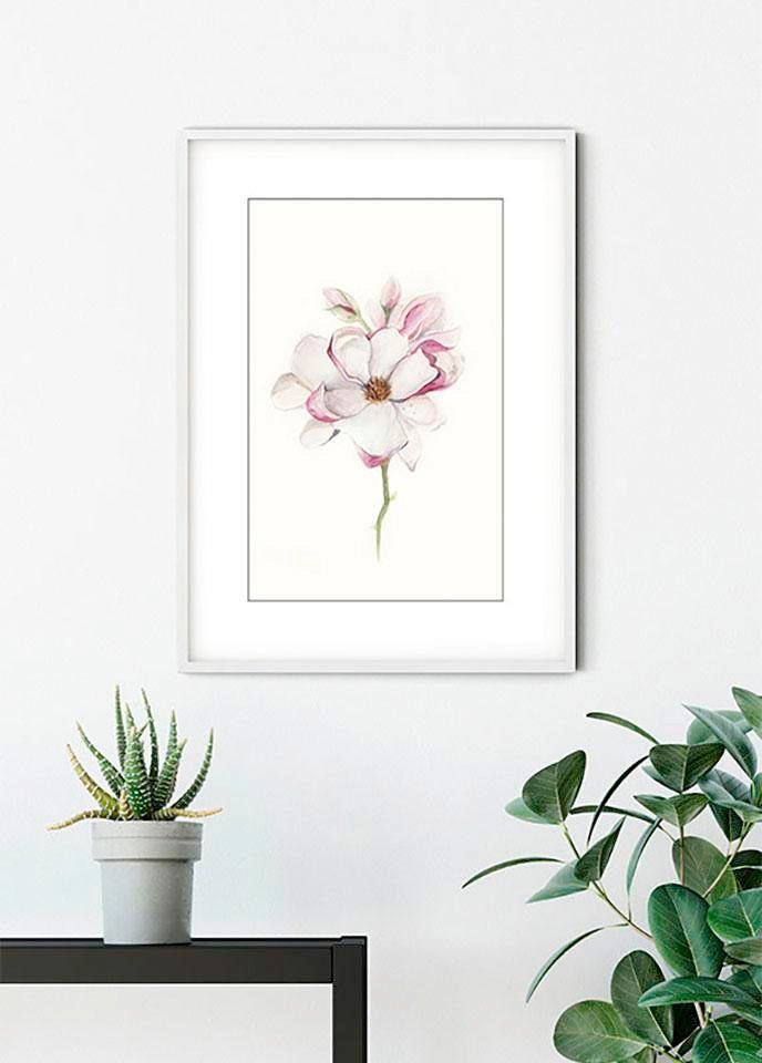 Komar Bild »Magnolia Blossom«, Blumen, (1 St.), Wandbild zur Dekoration - ohne Rahmen