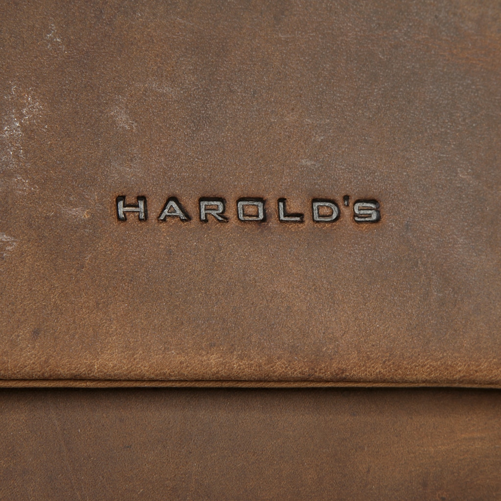 Harold's Cityrucksack