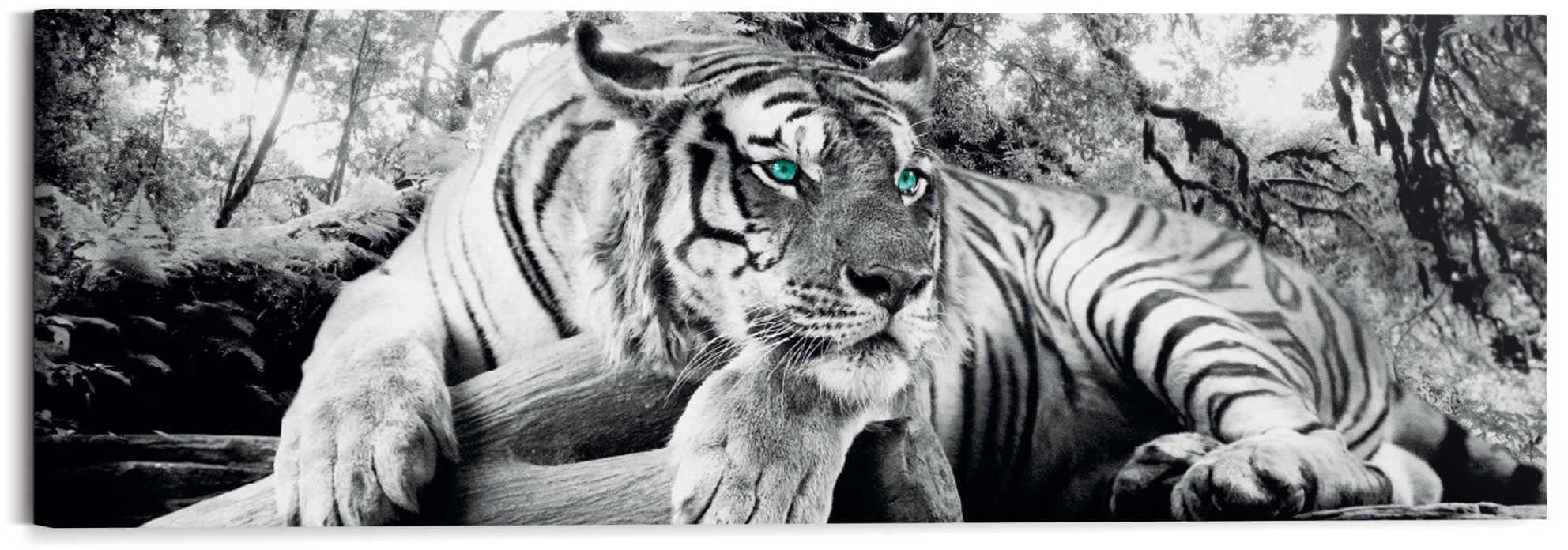 online Wandbild Tiger Wandbild - OTTO Wandbild« bestellen Wandbild Reinders! - »Tigerblick Raubtier bei Wohnzimmer -