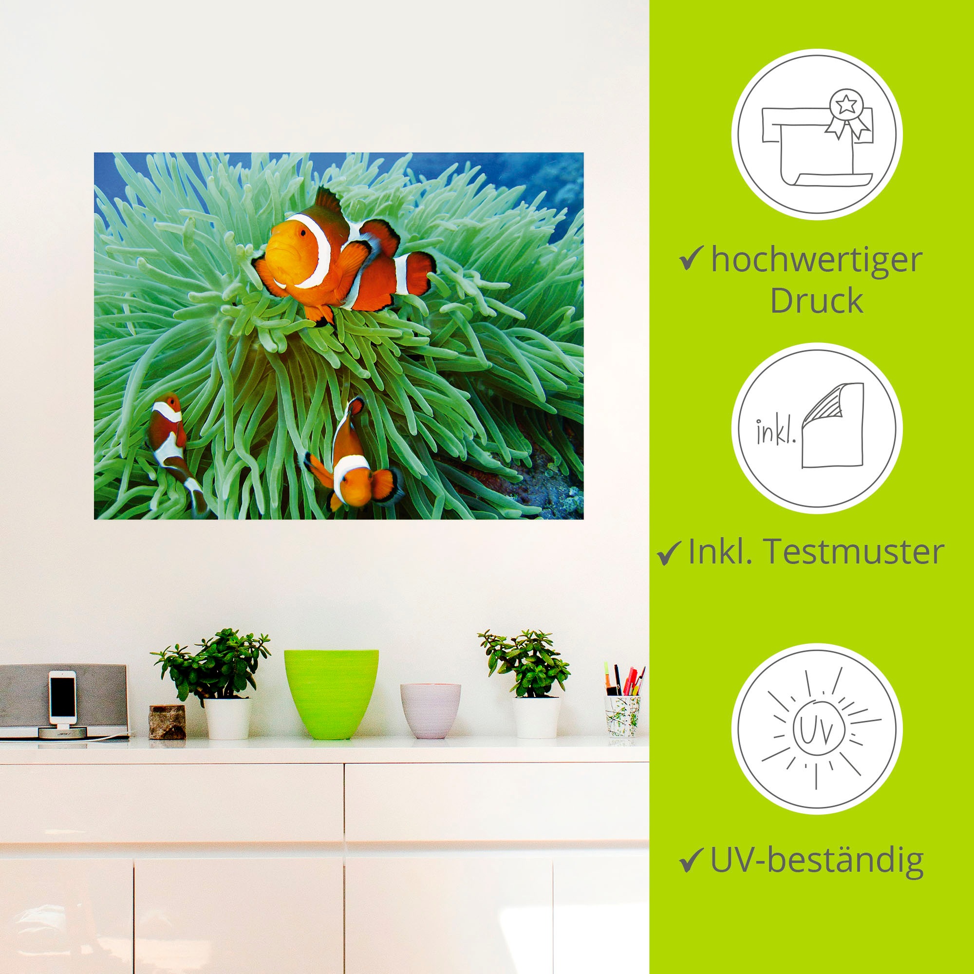 Artland Wandbild »Finde Nemo«, Wassertiere, (1 St.), als Poster, Wandaufkleber in verschied. Größen