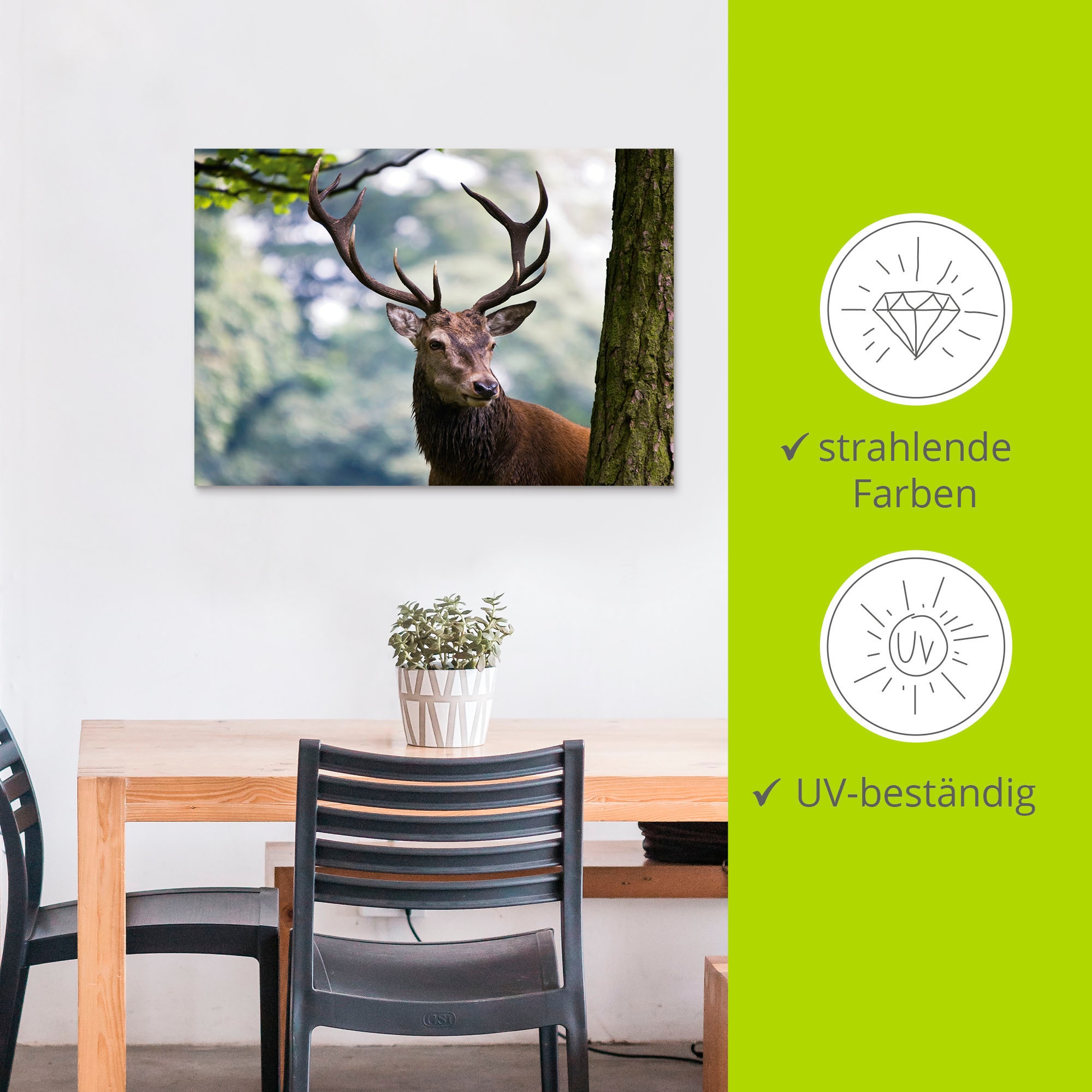 Artland Wandbild »Hirsch«, Wildtiere, (1 St.), als Alubild, Outdoorbild, Leinwandbild, Poster in verschied. Größen