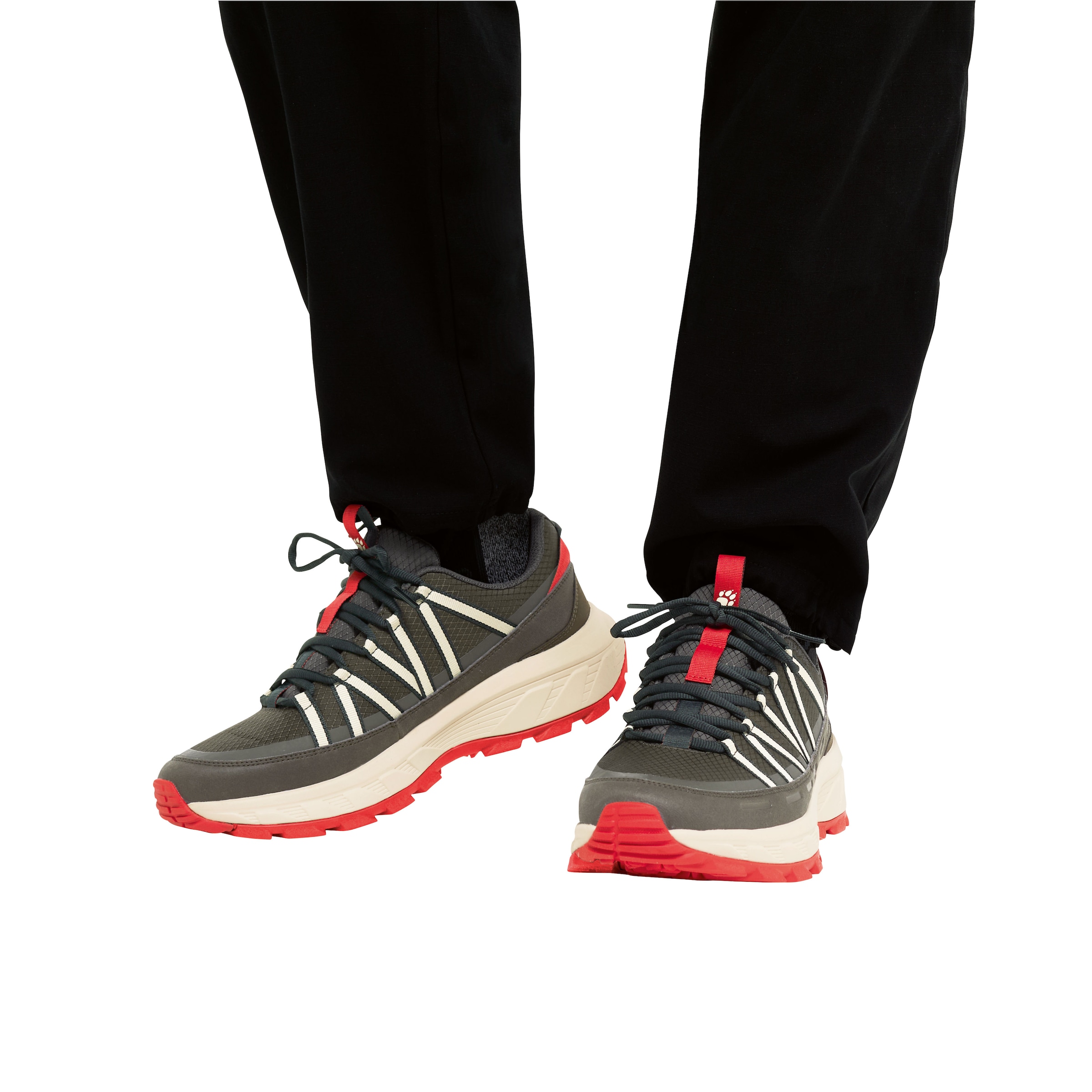 Jack Wolfskin Wanderschuh »WILD HIKE TEXAPORE LOW M«  Outdoorschuh, Trekkingschuh, wasserdicht