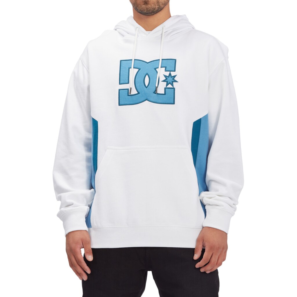 DC Shoes Kapuzensweatshirt »Sauland«