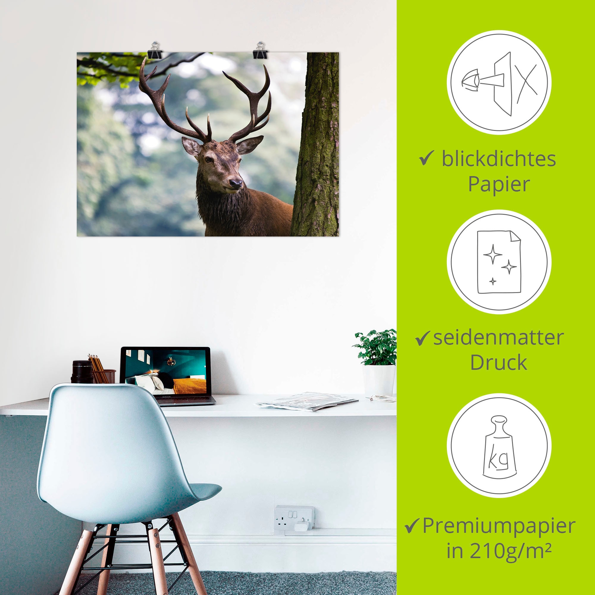 Artland Wandbild »Hirsch«, Wildtiere, (1 St.), als Alubild, Outdoorbild, Leinwandbild, Poster in verschied. Größen