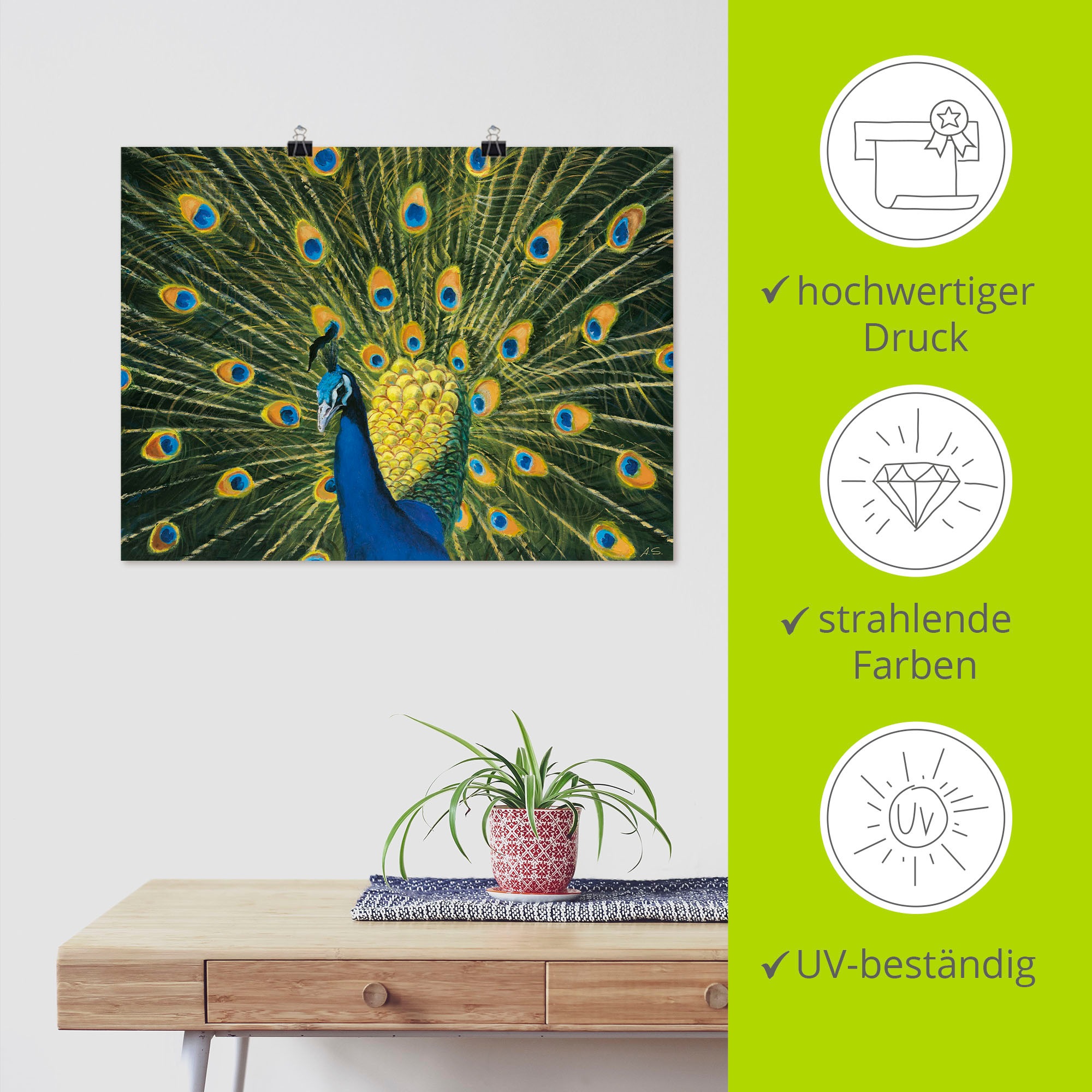 Artland Wandbild »Pfau«, Vögel, (1 St.), als Alubild, Outdoorbild, Leinwandbild, Poster, Wandaufkleber