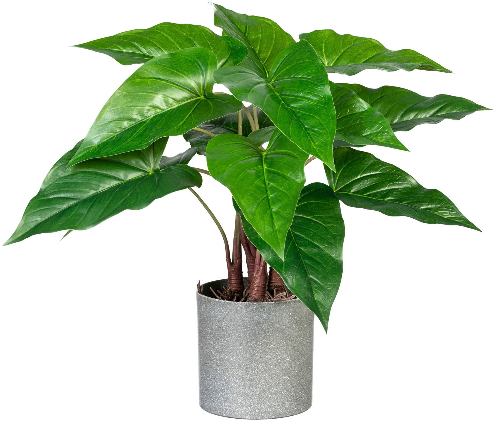 Creativ green Künstliche Zimmerpflanze »Anthurium«, im Melamintopf