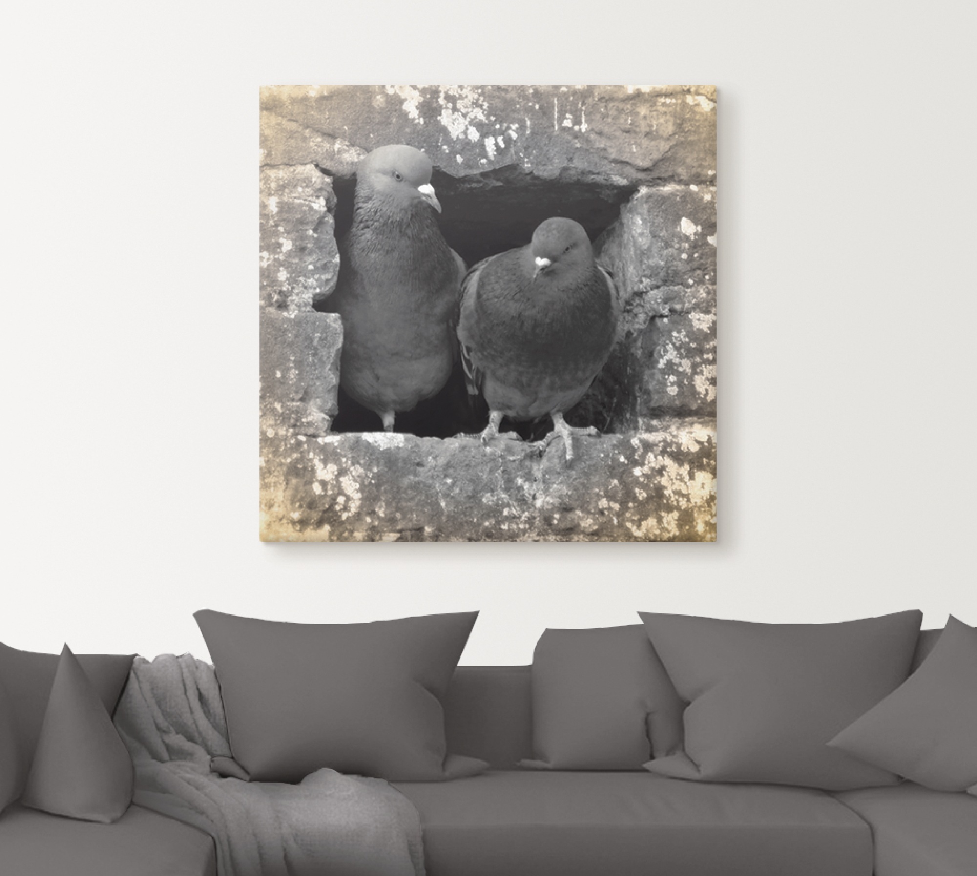 Artland Wandbild »Tauben Liebe«, Vögel, (1 St.), als Alubild, Outdoorbild, Leinwandbild, Poster in verschied. Größen