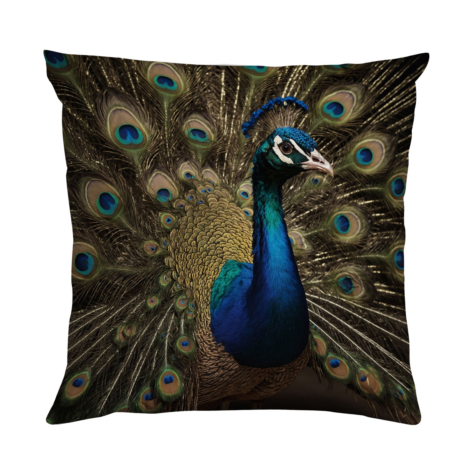 queence Dekokissen »Pfau im voller Pracht«, Kissenhülle mit HD Premium Druck, geruchsneutral, 40x40cm