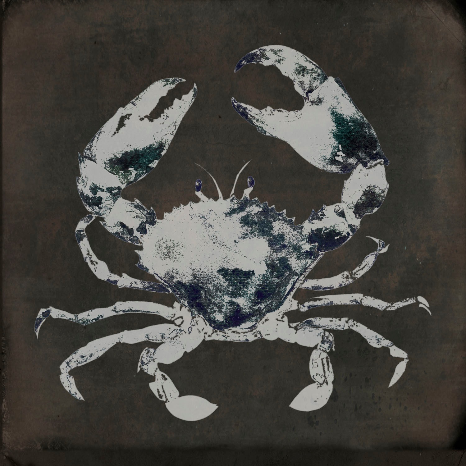 queence Holzbild »Krabs«, Fisch & Meeresfrüchte, (1 St.)