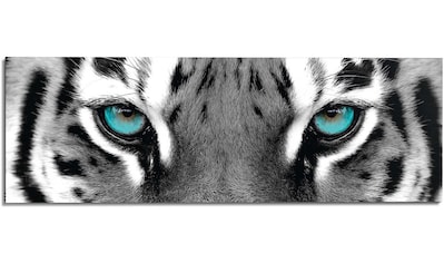 Reinders! Wandbild »Sibirischer Tiger« online bei OTTO