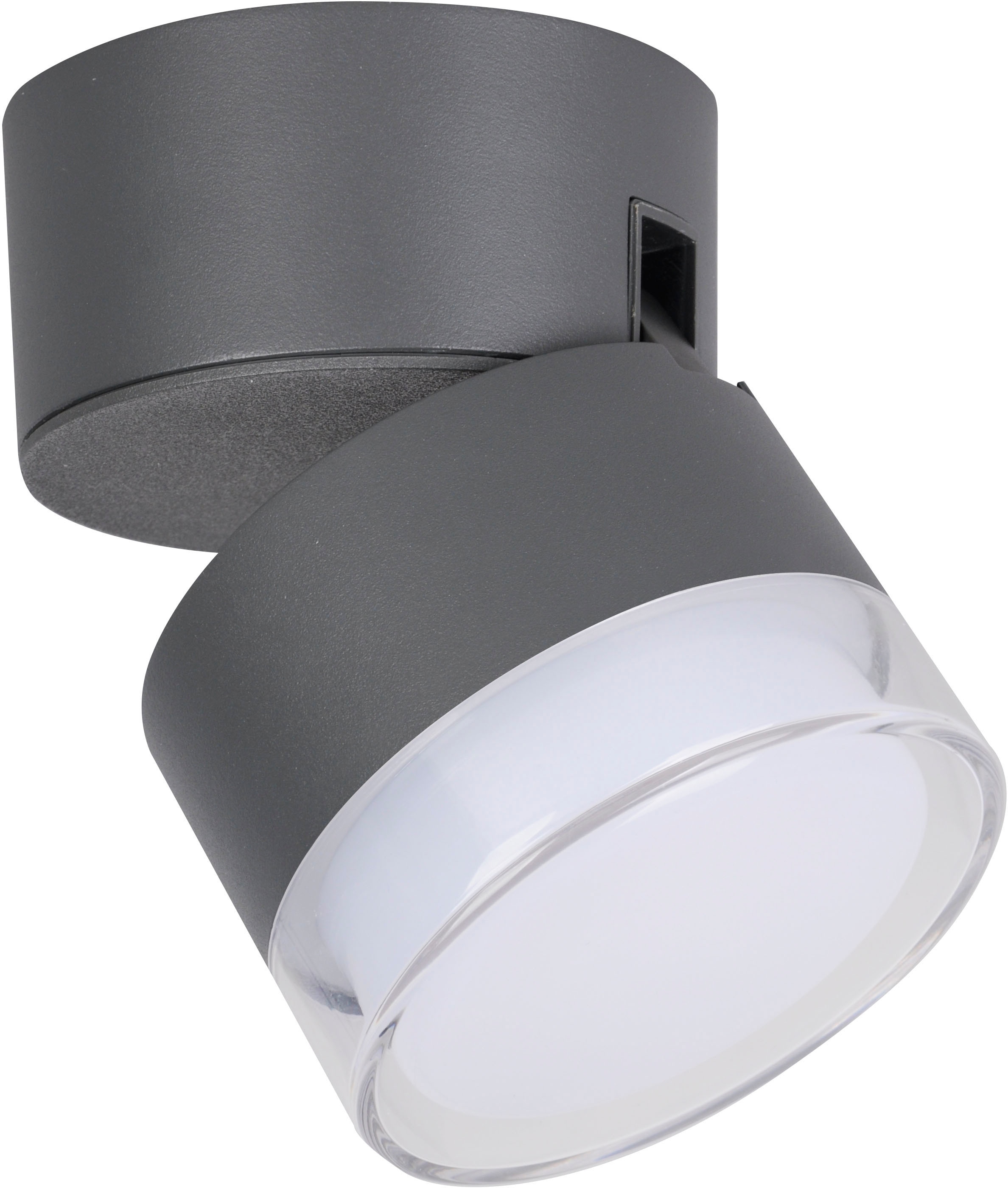 LUTEC Smarte LED-Leuchte »DROPSI«, Leuchtmittel LED-Modul | LED fest integriert, Smart-Home