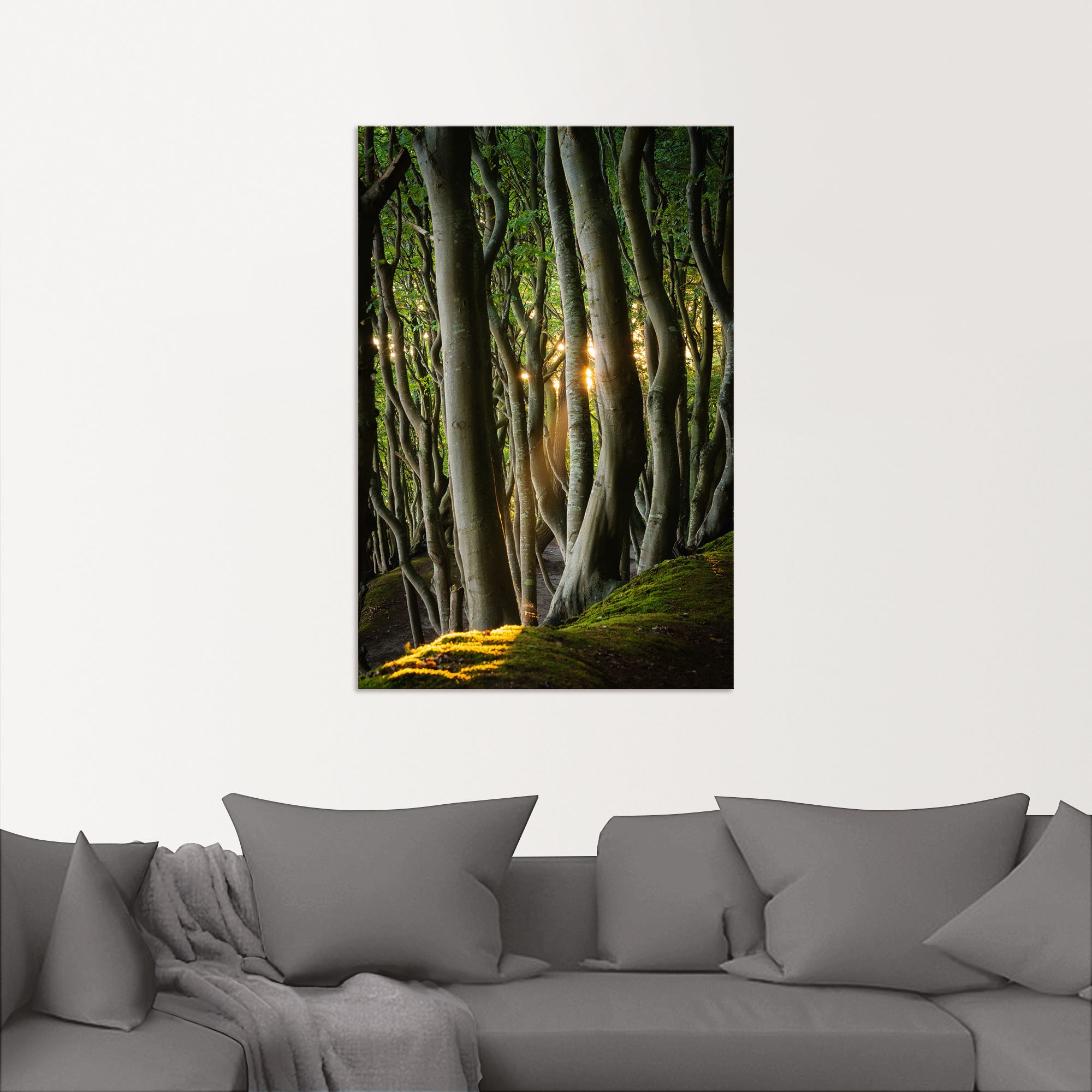 Artland Wandbild »Licht im Märchenwald«, Waldbilder, (1 St.), als Alubild, Leinwandbild, Wandaufkleber oder Poster in versch. Größen
