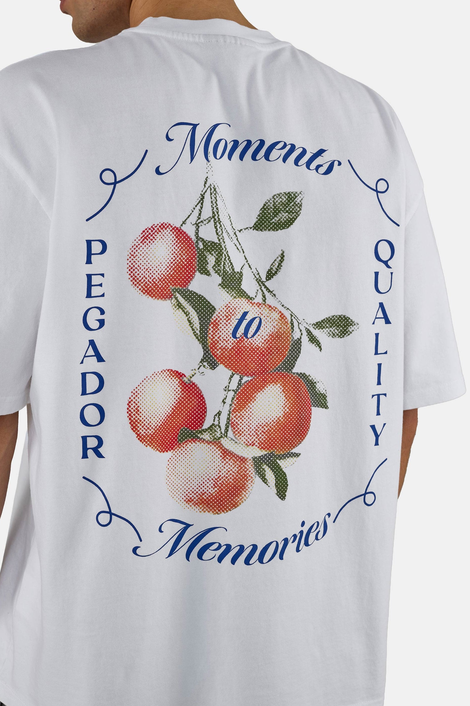 PEGADOR T-Shirt »Frombork Oversized Tee« Baumwolle, oversize