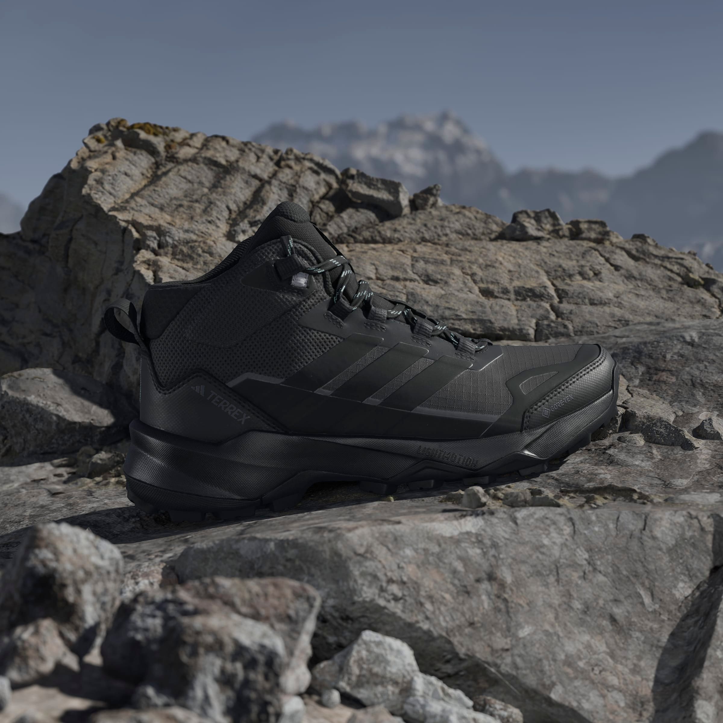 adidas TERREX Wanderschuh »TERREX SKYCHASER AX5 MID GORE-TEX E«  wasserdicht
