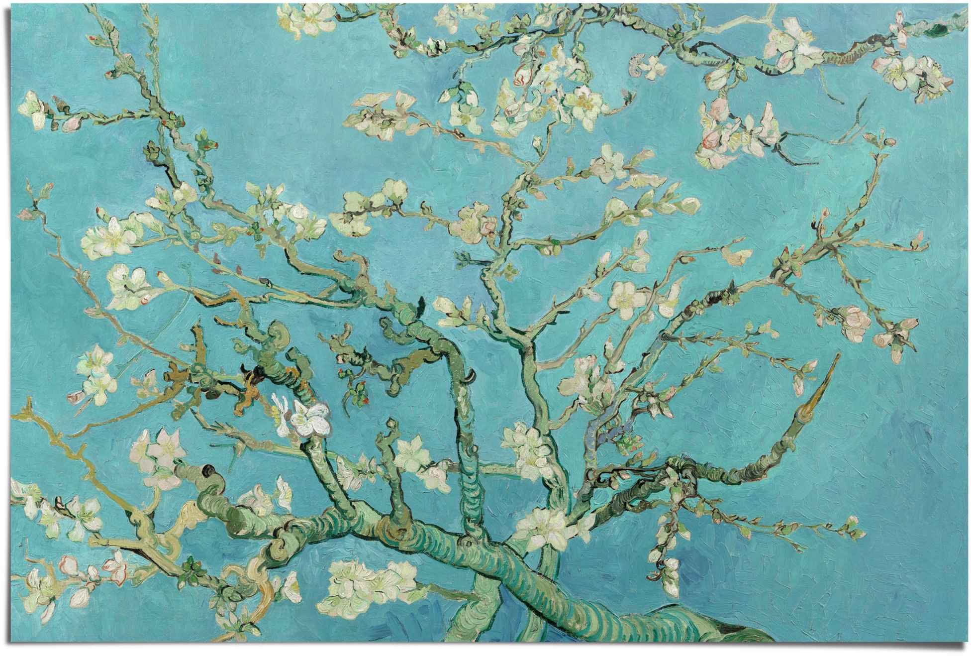 Reinders! Poster »Poster Mandelblüte Vincent van Gogh - Alte Meister - Berühmte Gemälde - Blumen«, Blumen, (1 St.)