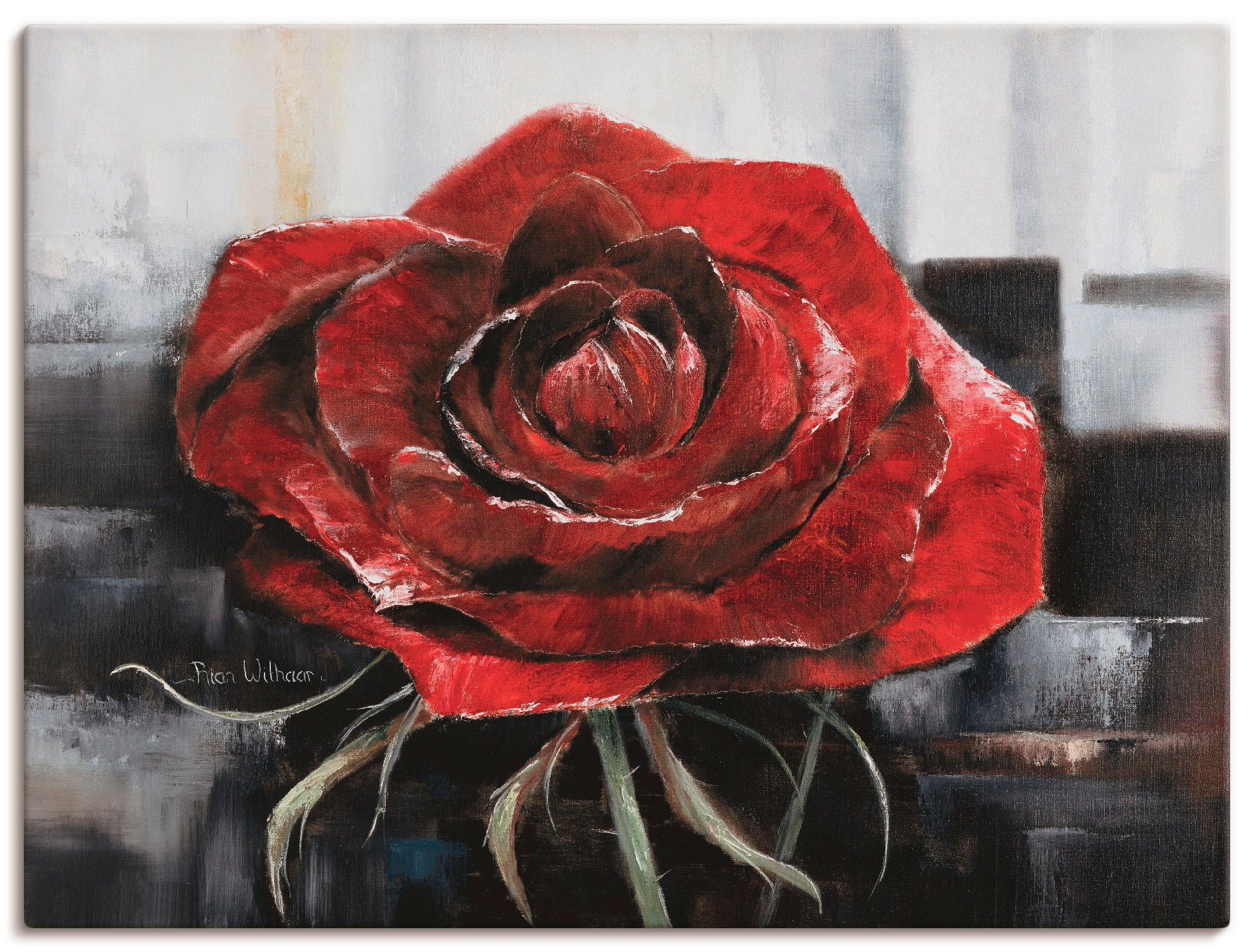 Artland Wandbild »Blühende rote Rose«, Blumen, (1 St.), als Leinwandbild, Poster, Wandaufkleber in verschied. Größen