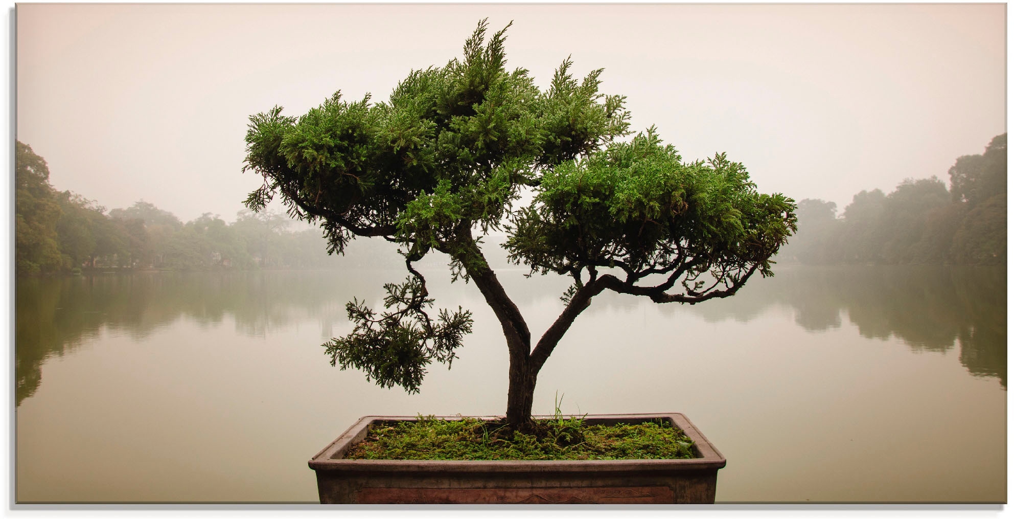 Artland Glasbild »Chinesischer Bonsaibaum«, Bäume, (1 St.), in  verschiedenen Größen online bei OTTO